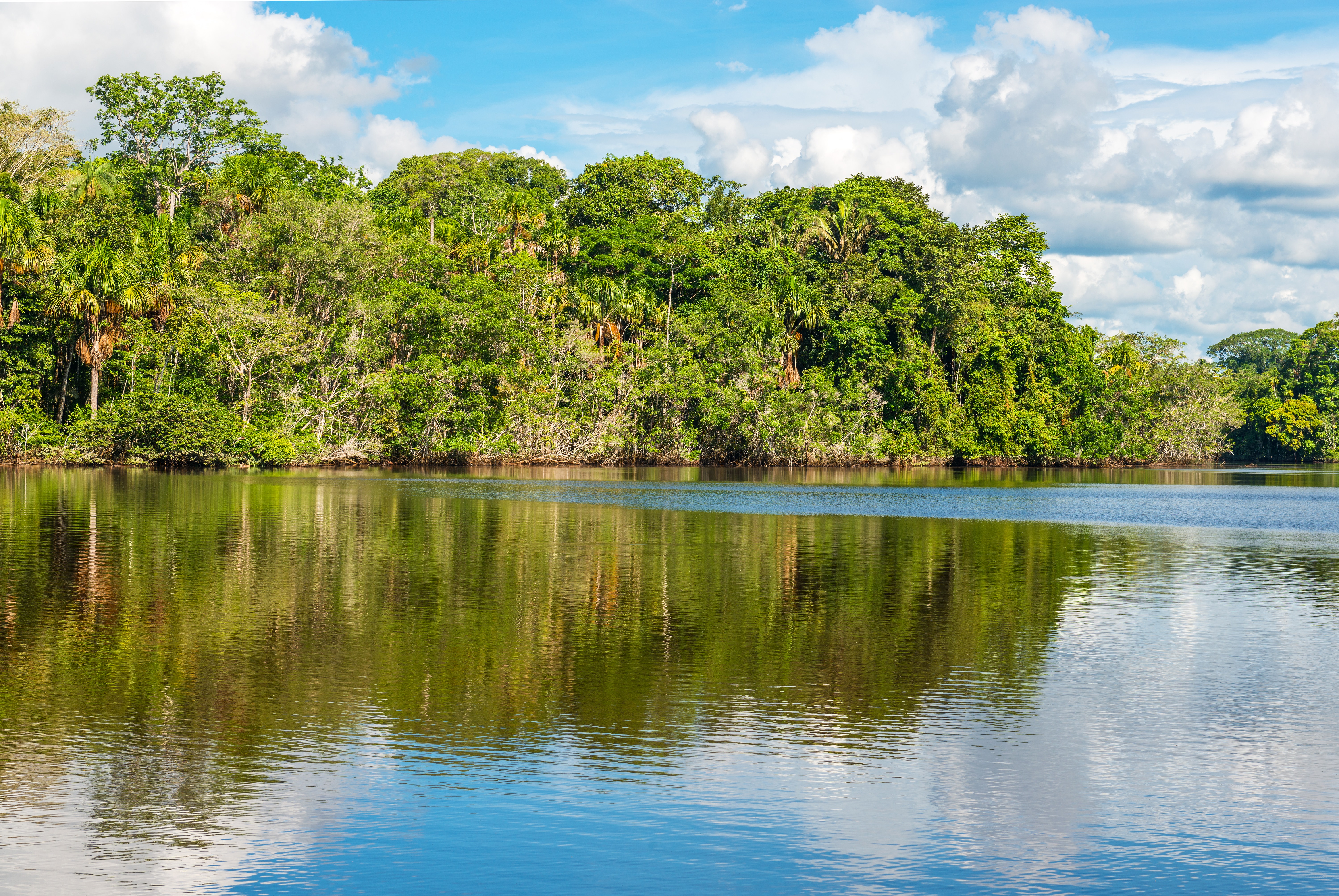 Ontological Battlefields: Illegal Gold Mining and Environmental Governance in the Colombian Amazon.