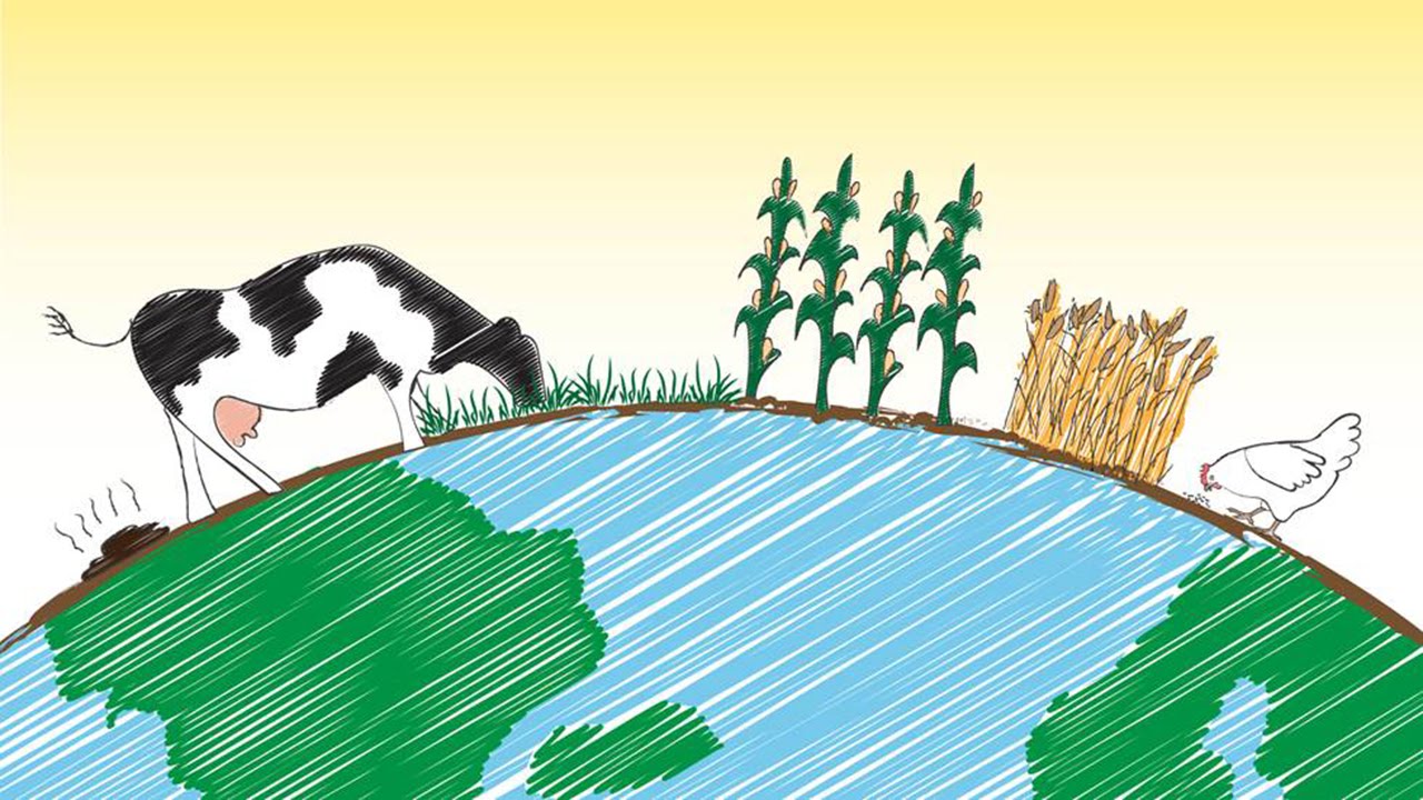MOOC Systems Thinking and Environmental Sustainability | WUR
