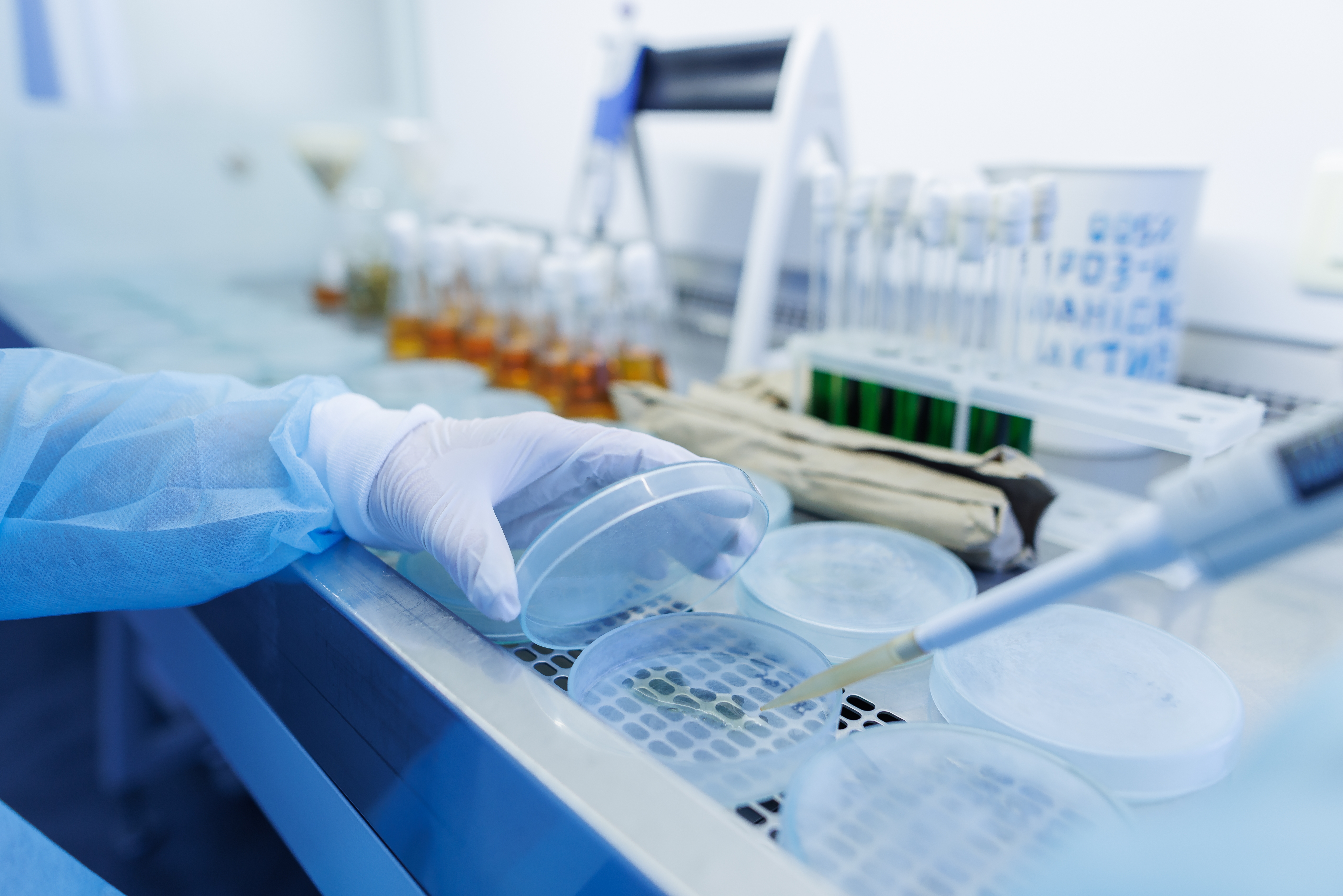 Laboratorium assistent pipetteert vloeistof in een petrischaal