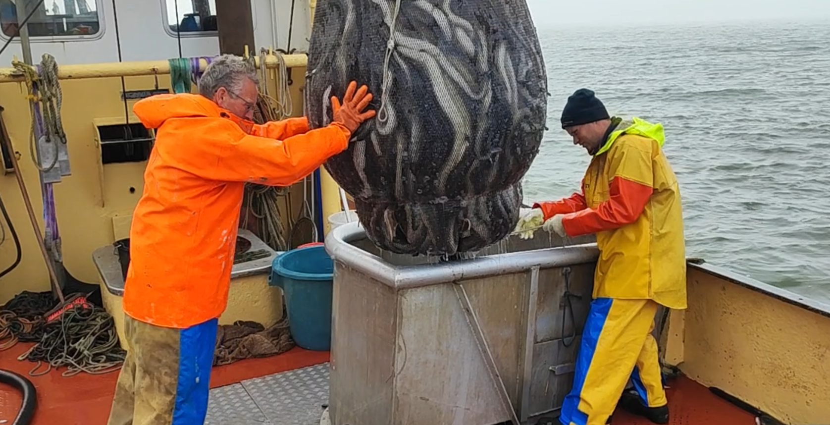 eel catch
