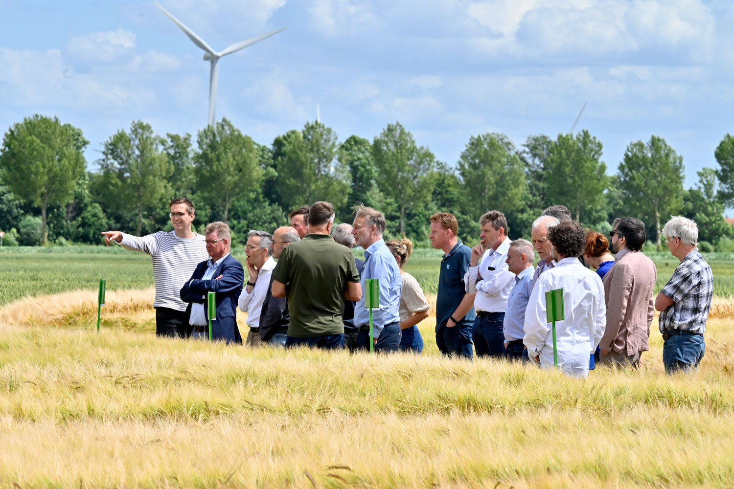 Groep mannen kijkt uit over veld met brouwgerst
