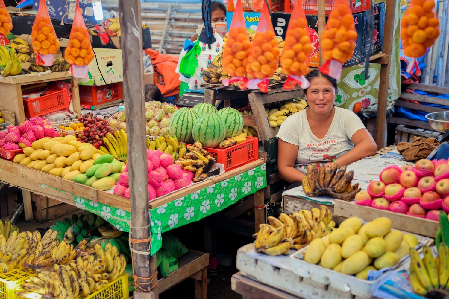 Entrepreneurial Pathways: Identity, Behavioural Heterogeneity and Sustainable Agriculture among Smallholders in the Philippines