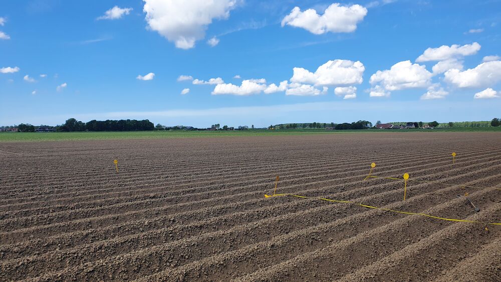 soil