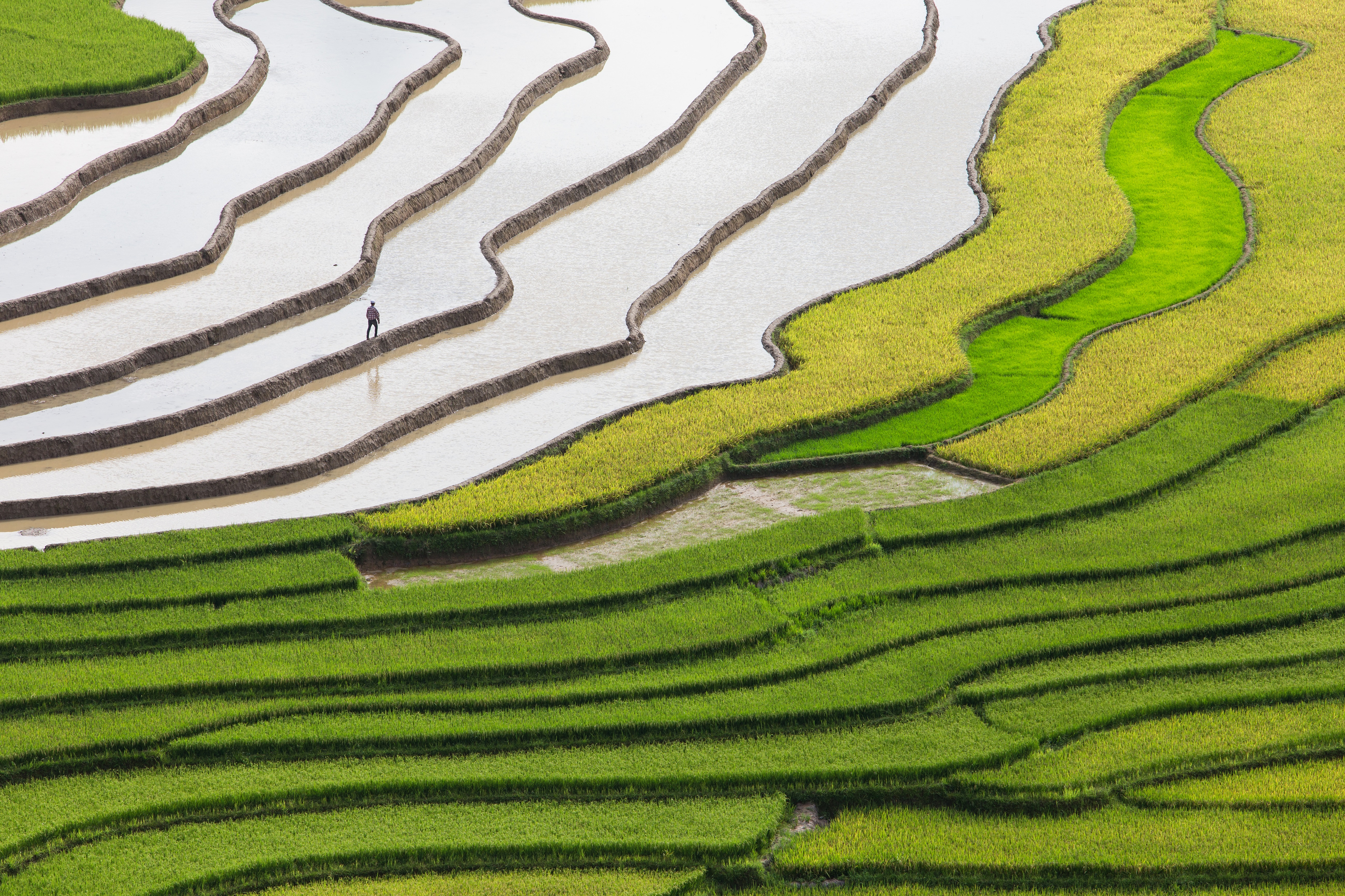 sustainable land use