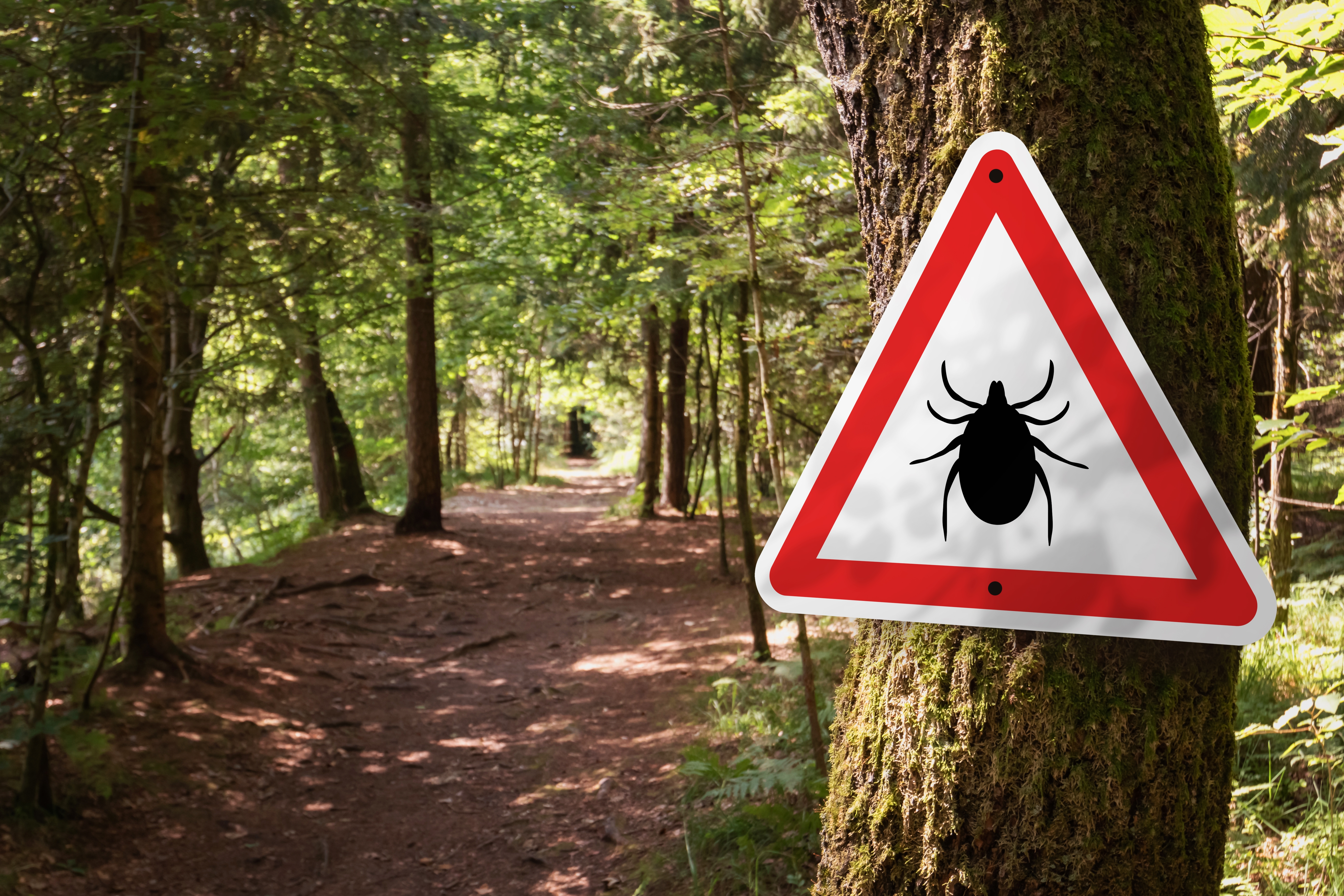 Waarschuwingsbord teken in het bos