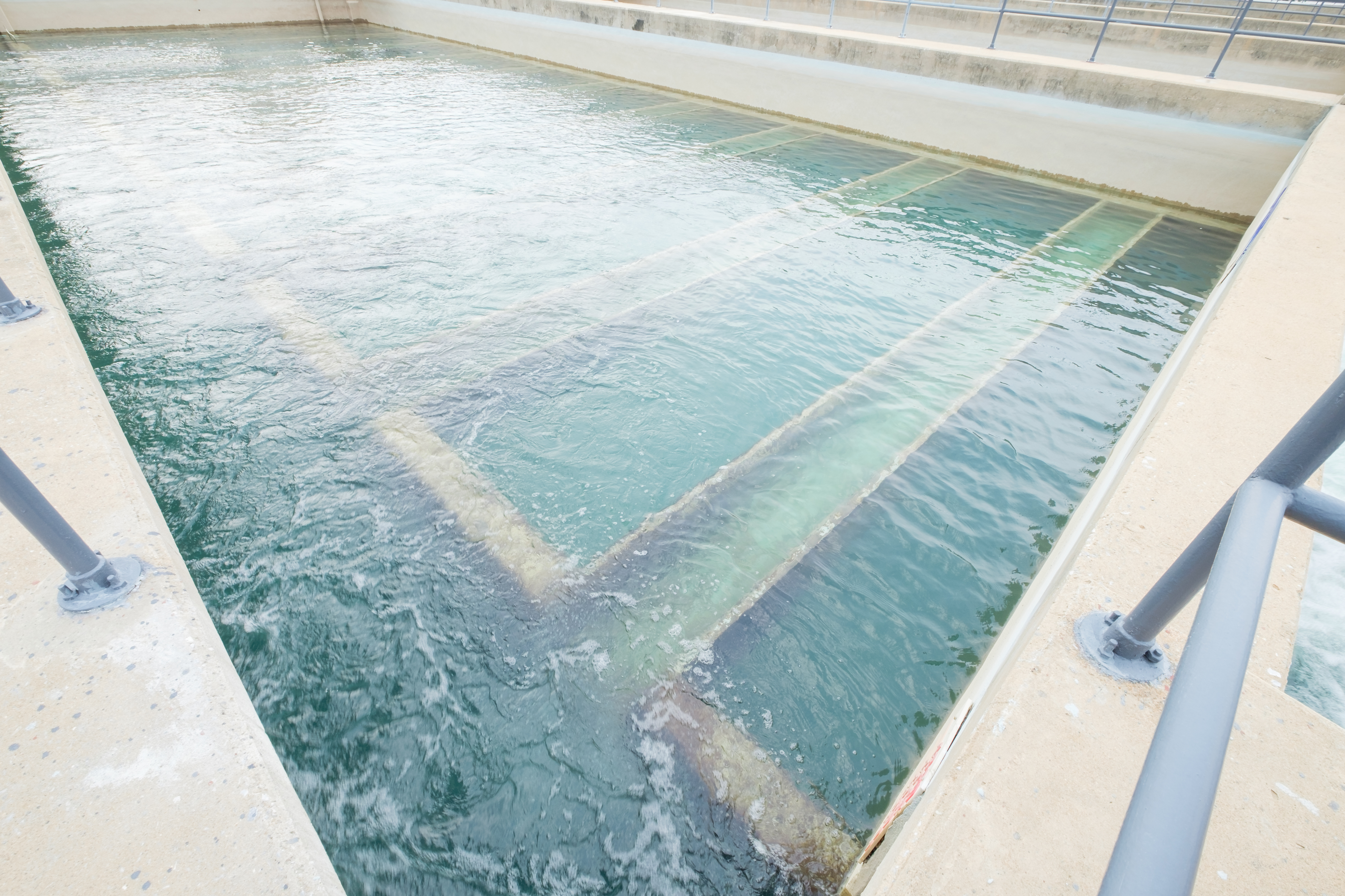 Unveiling the microbial dynamics and hidden potential of slow sand filters