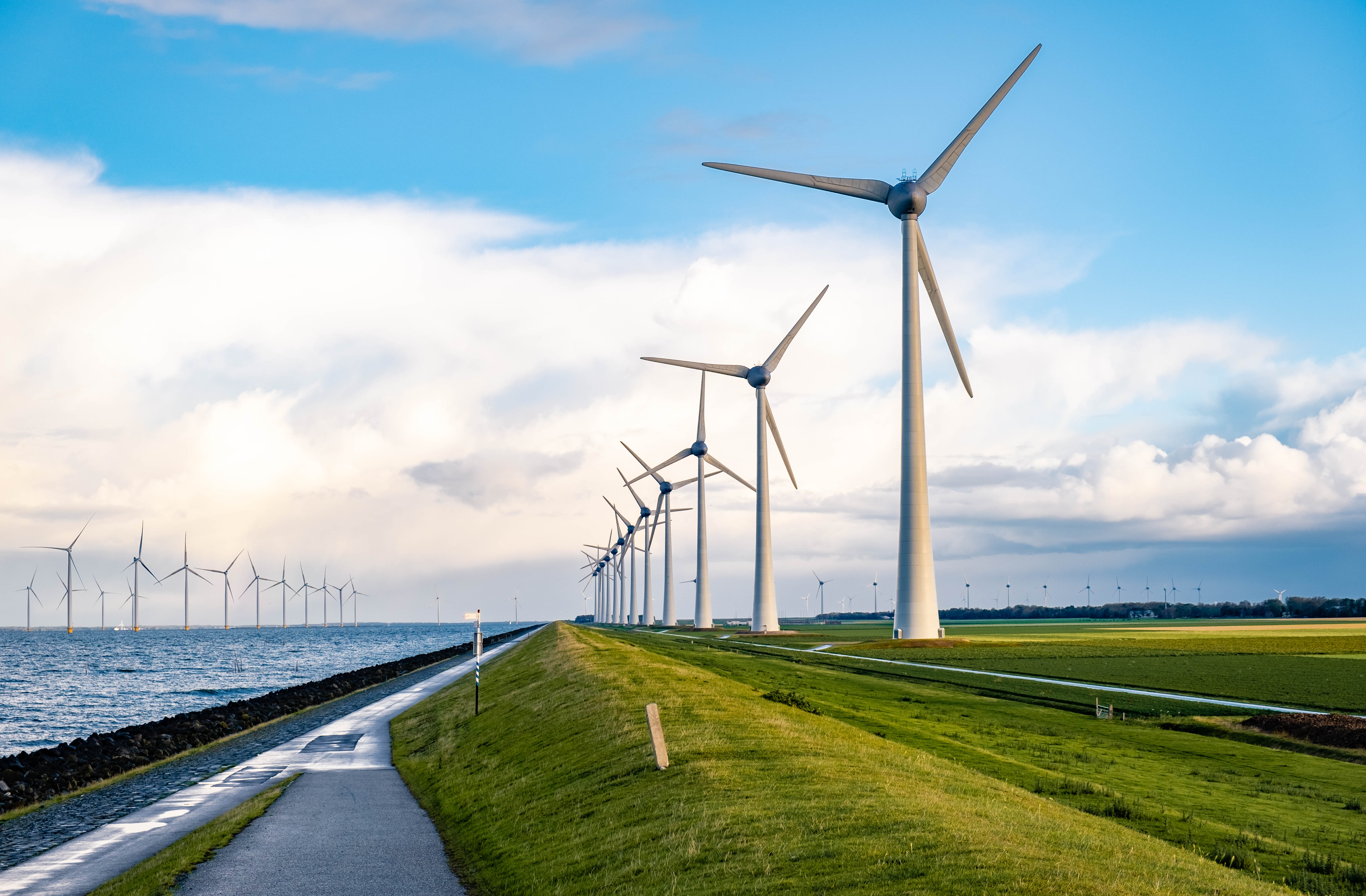 Windmills on a levy