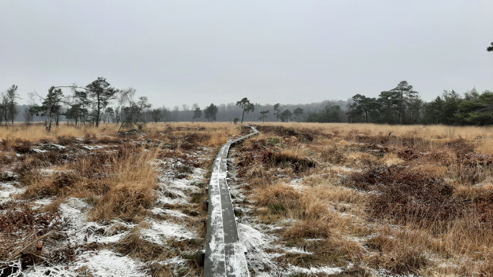 Uitzicht op het Wooldse Veen met een verhoogd wandelpad over het veen