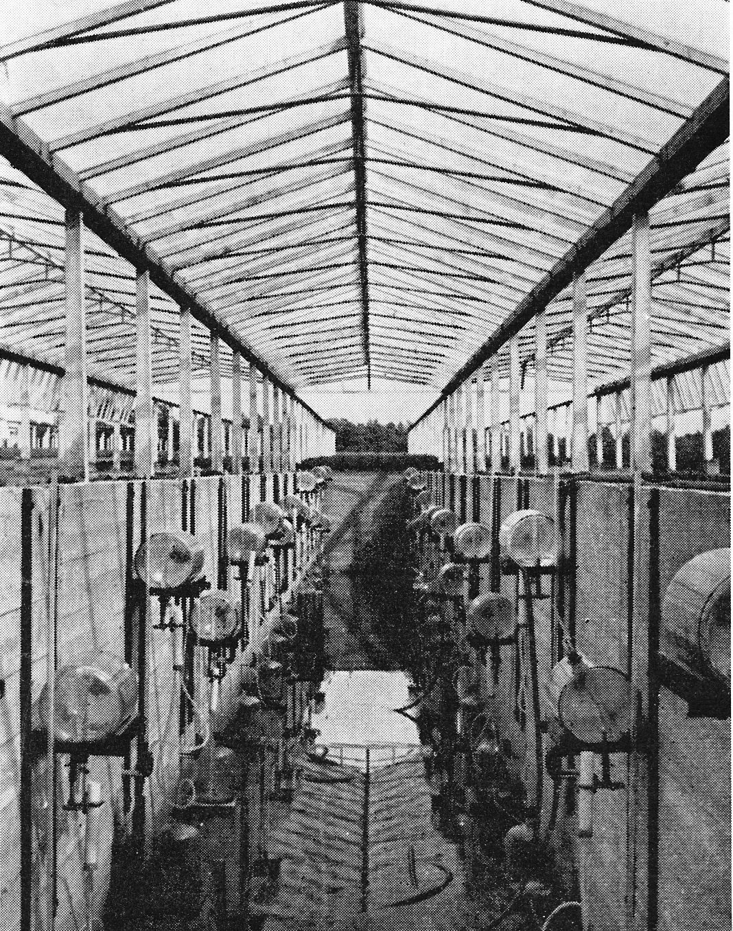 Sinderhoeve Lysimeters in 1960