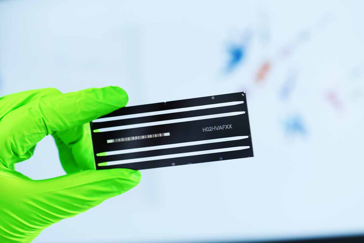 Virus genoom analyse met High Throughput Sequencing