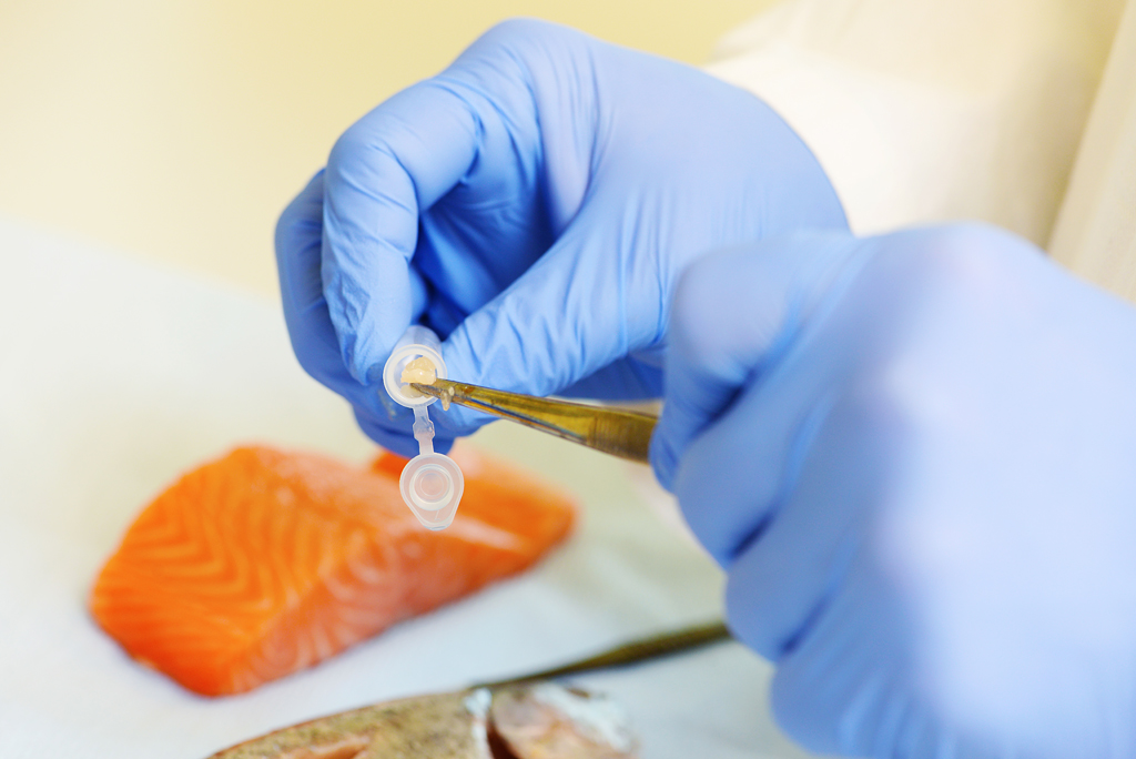 testen zalm voedselveiligheid