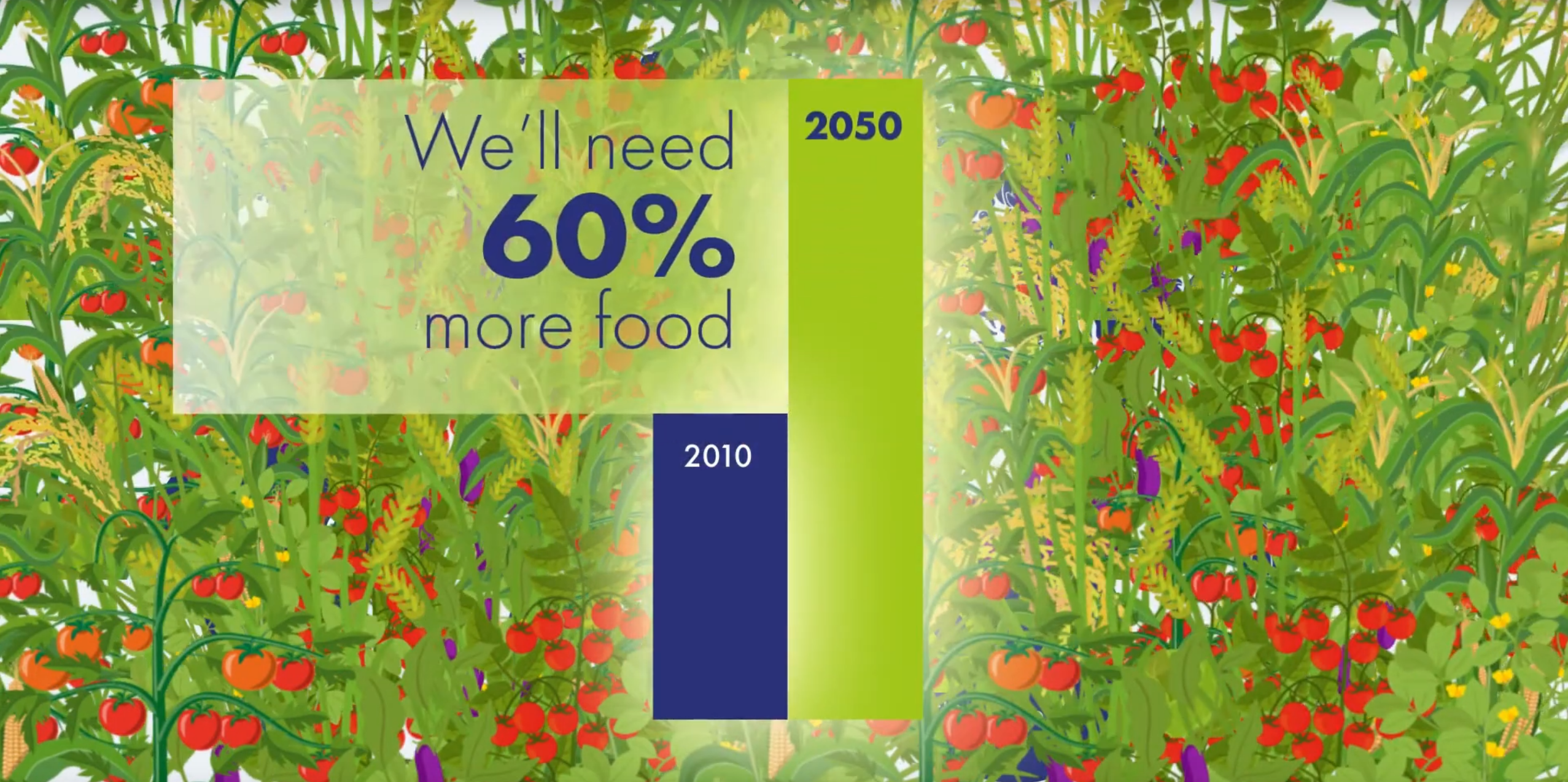 CAPITALISE - exploiting natural variation to improve photosynthesis