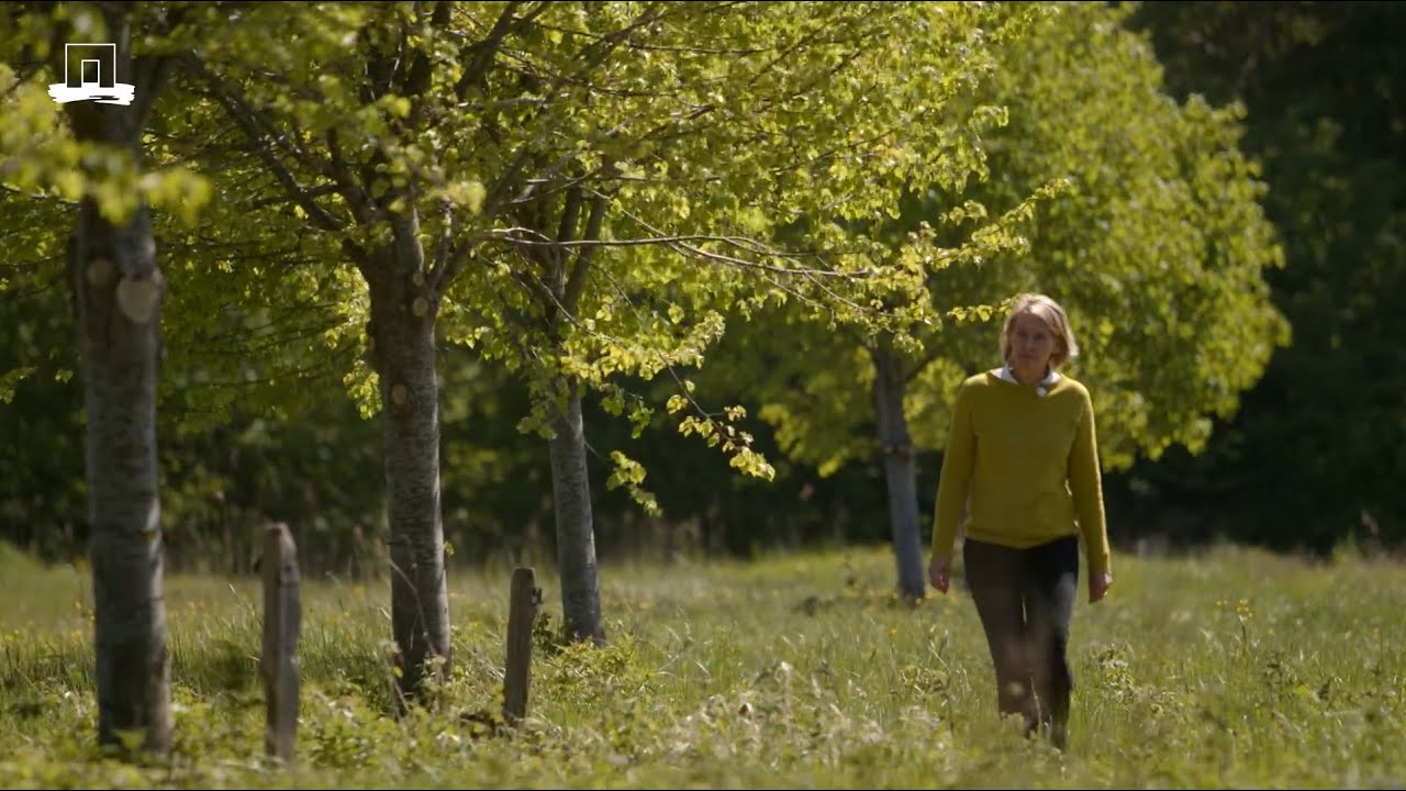 Een levende collectie zeldzame bomen
