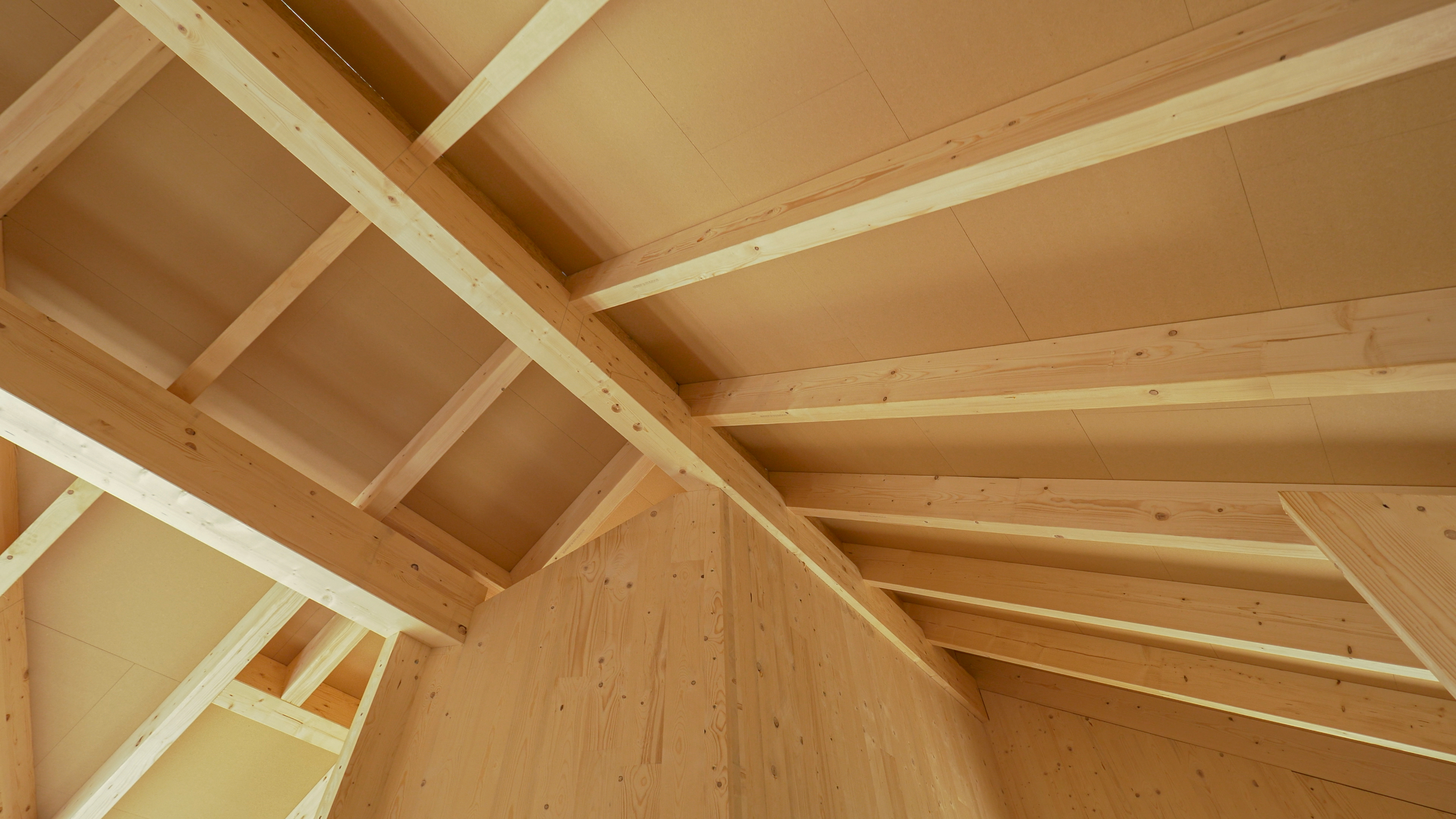 Roof of house built with biobased materials