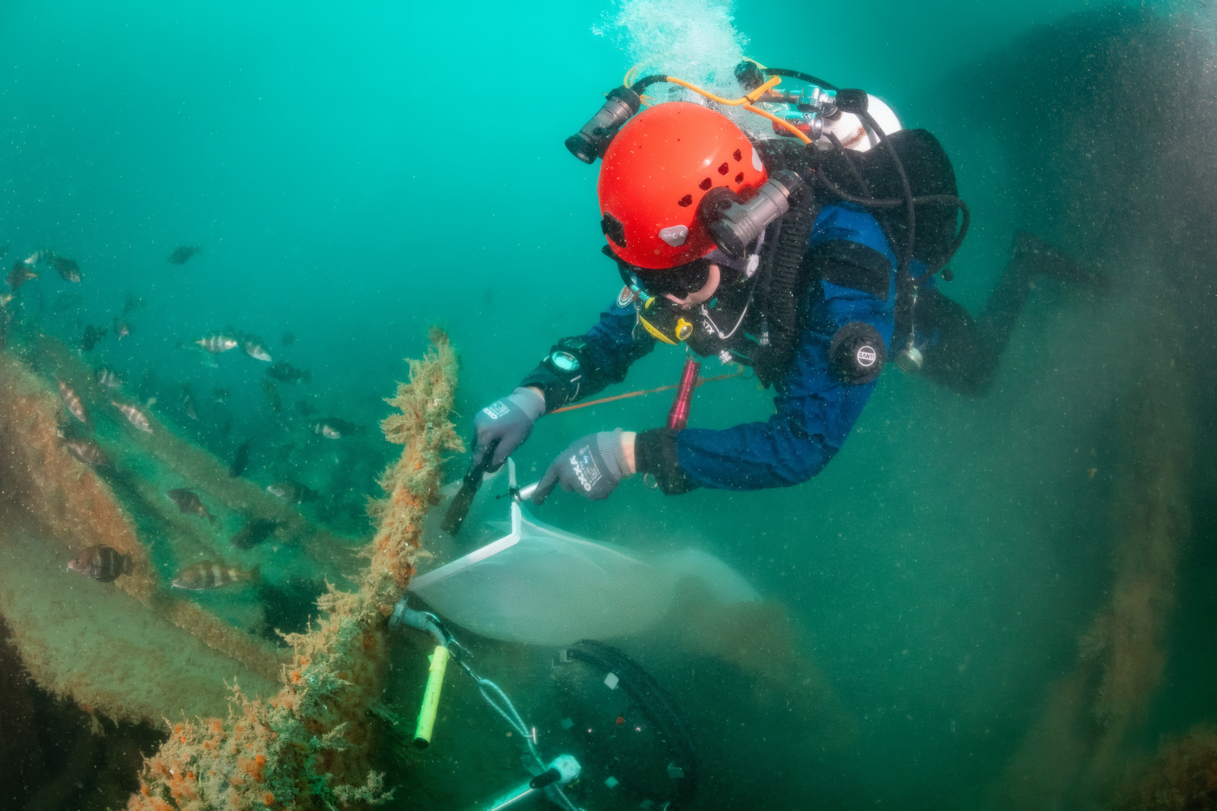 Scientific and commercial diver of WUR