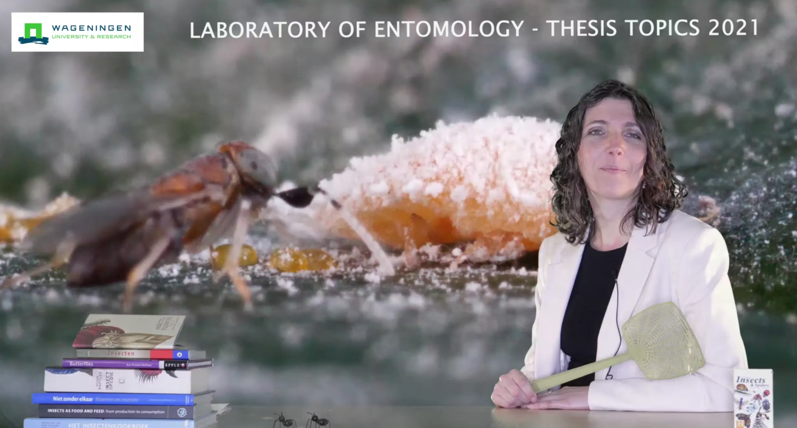 WUR-Entomology thesis topics 2021
