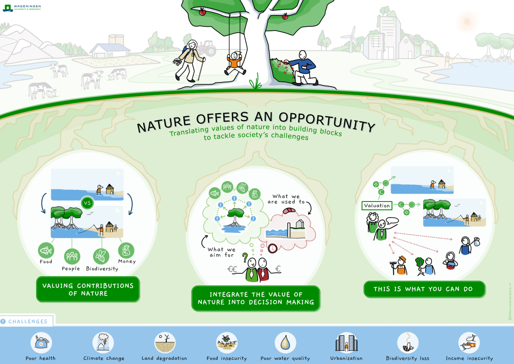 Infographic over de 