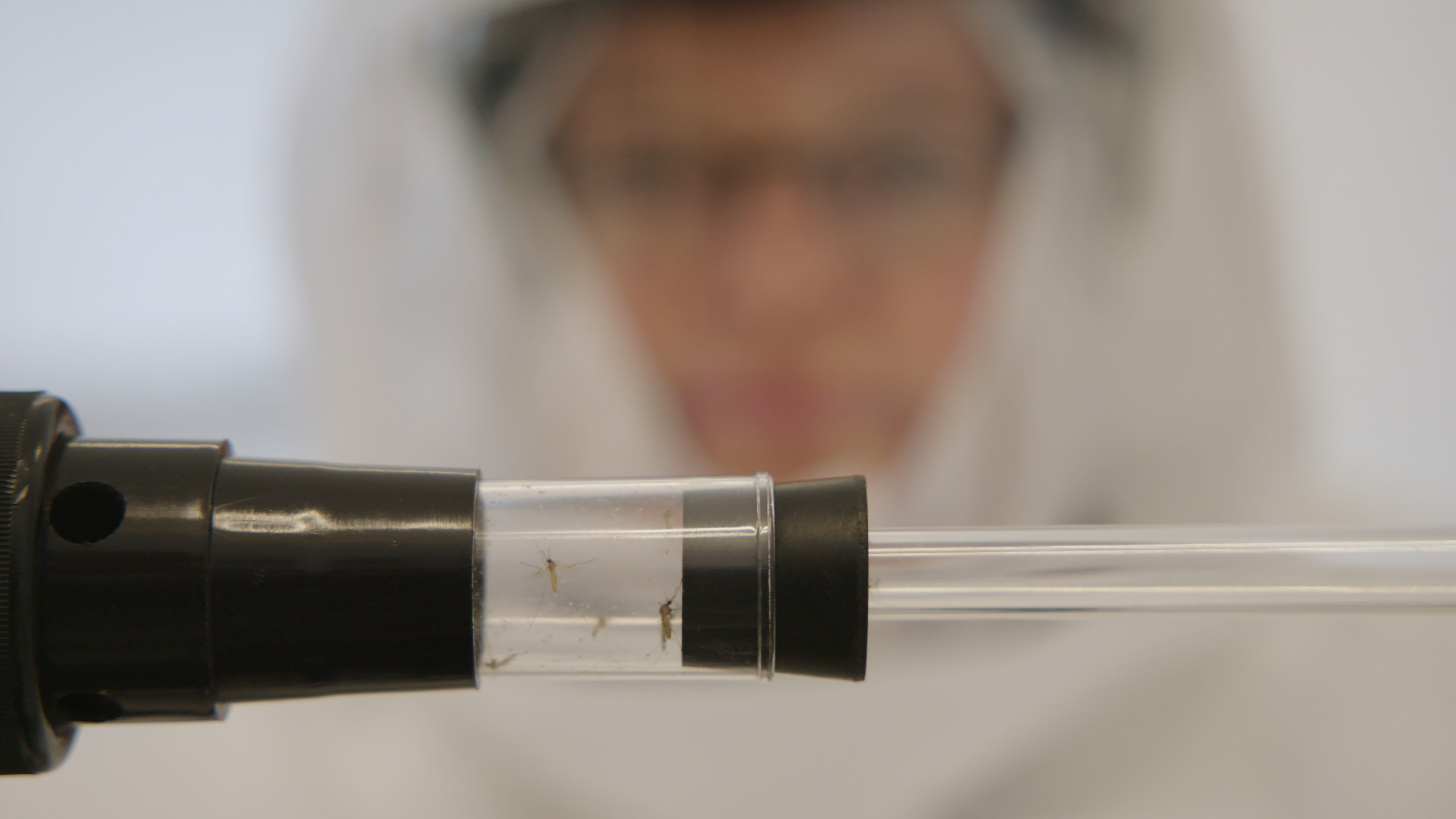 Research into vector-borne diseases at Wageningen Bioveterinary Research in Lelystad