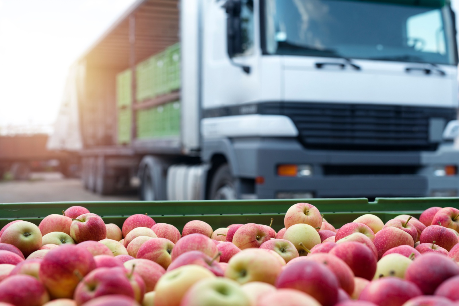 Appels klaar voor transport met vrachtwagen
