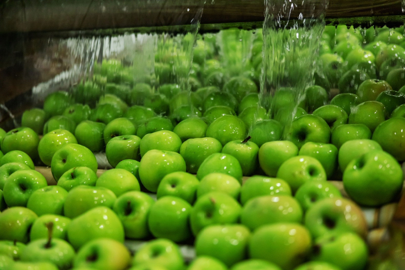 watergebruik in fabriek met appels