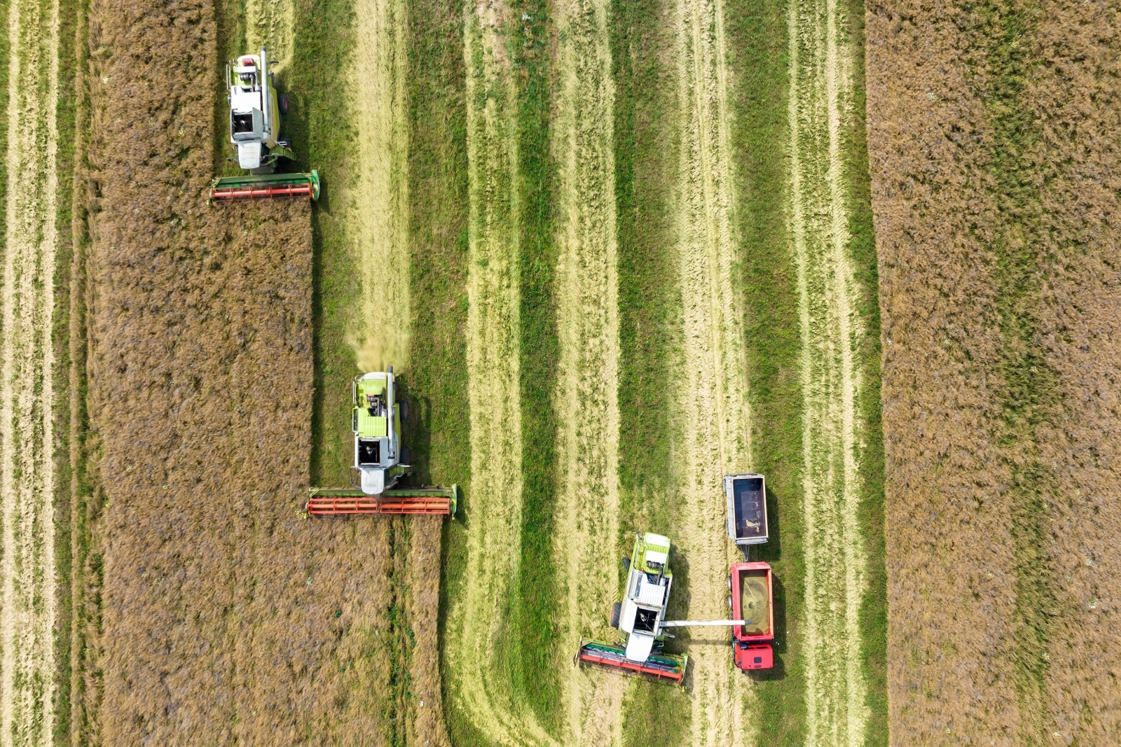 Aerial View Over Modern Heavy Harvesters
