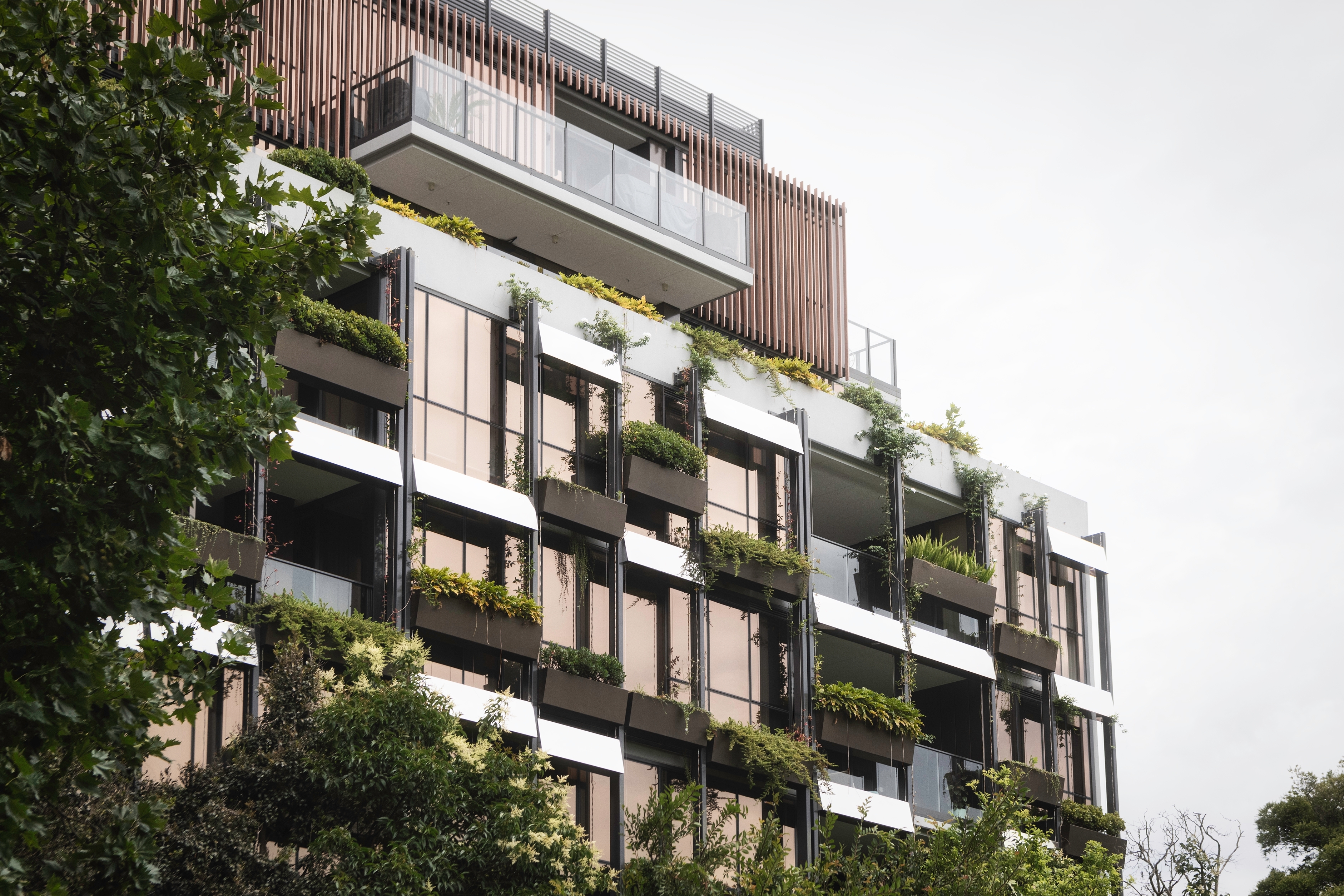 Small but cool: greening strategies for urban neighbourhoods