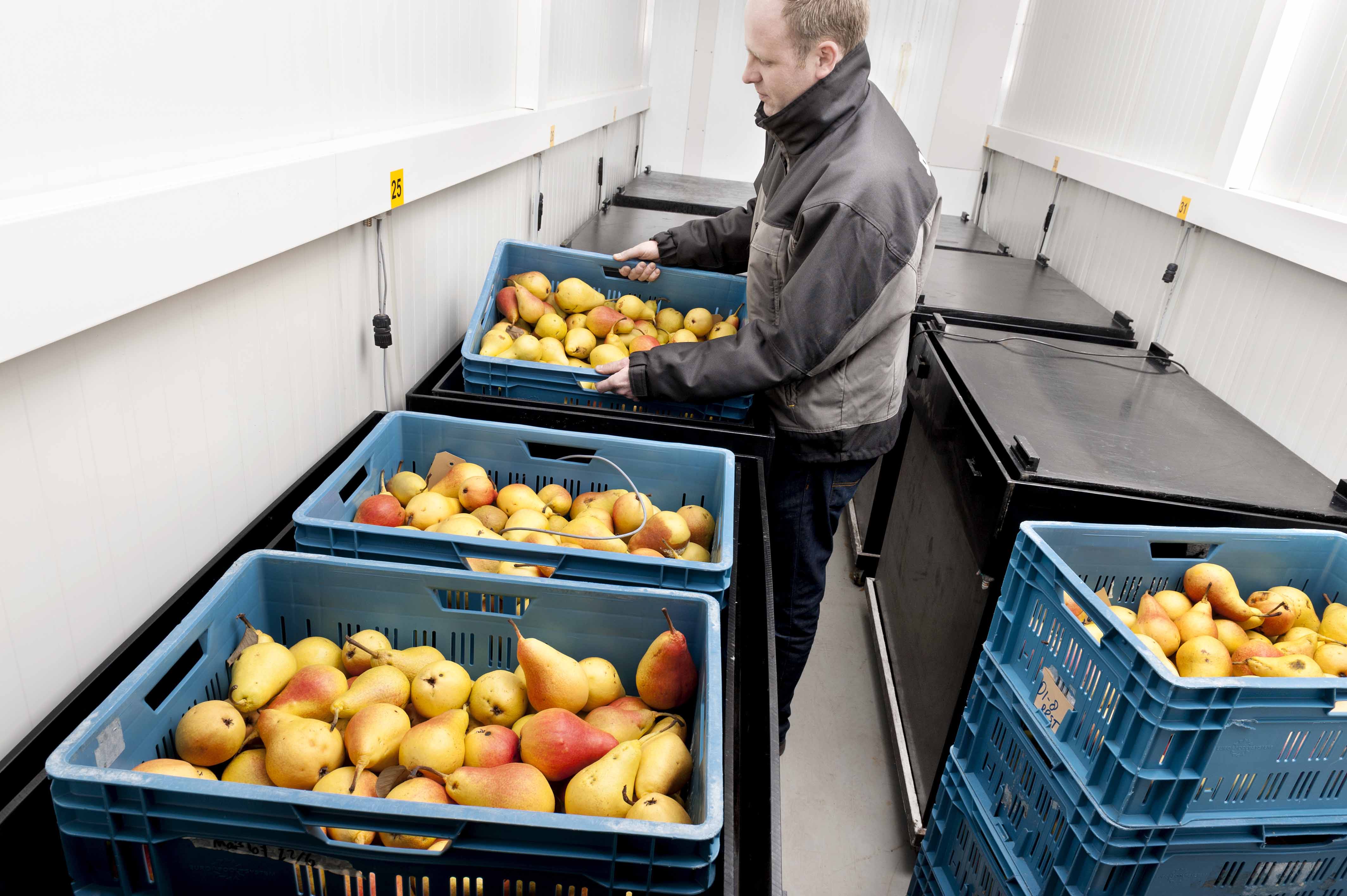 Verslogistiek en productieketen
