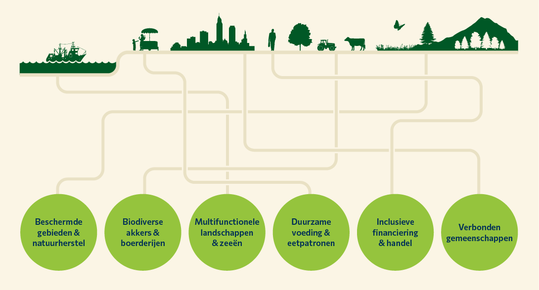 Visual die laat zien hoe ecosystemen met elkaar verbonden zijn: van visserij en kustgebieden tot steden, landbouw, bos en bergland. Lijnen verbinden zes onderdelen: beschermde gebieden en natuurherstel, biodiverse akkers en boerderijen, multifunctionele landschappen en zeeën, duurzame voeding en eetpatronen, inclusieve financiering en handel, en verbonden gemeenschappen.