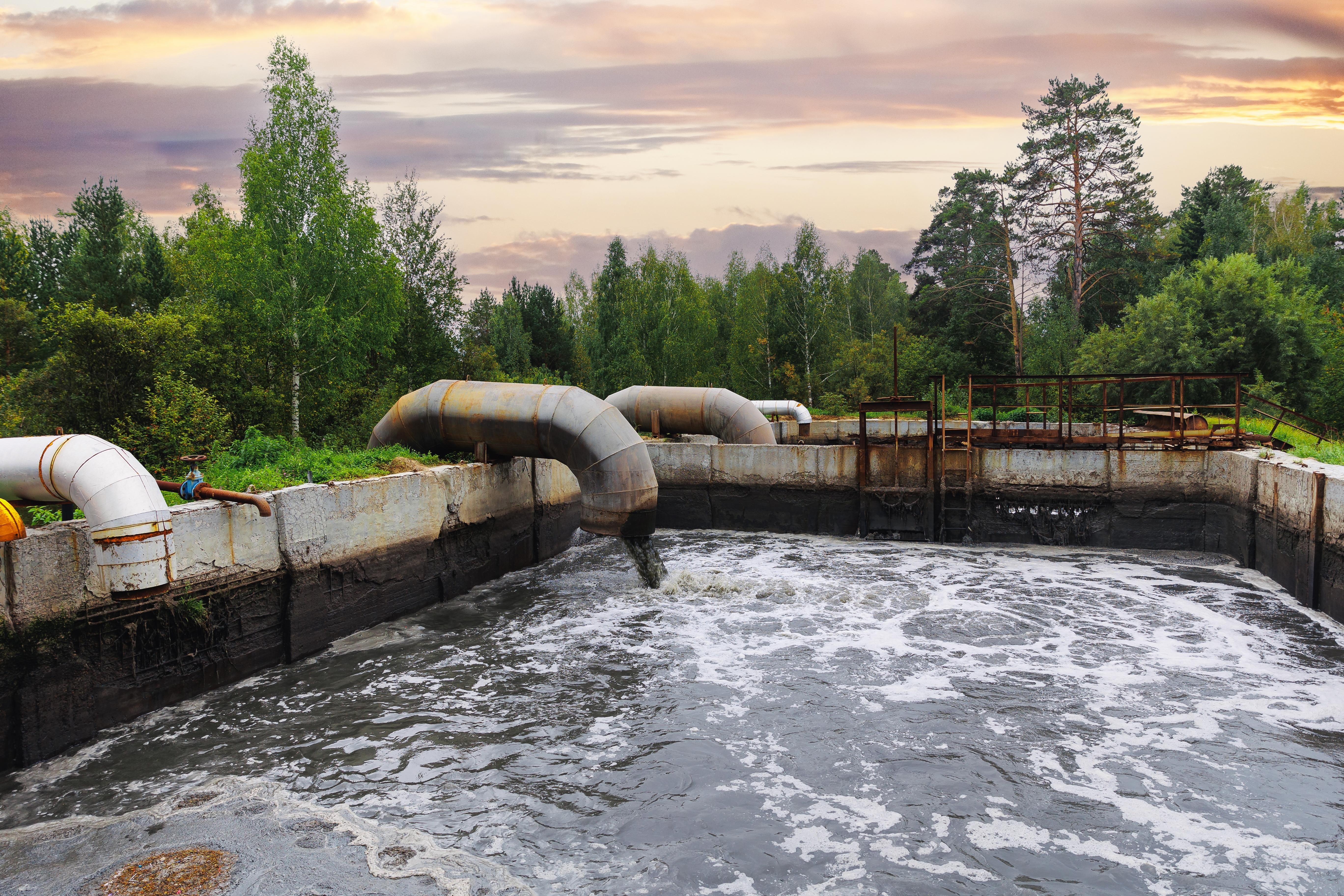 The fate and removal of micropollutants and antibiotic resistance in aerobic granular sludge systems
