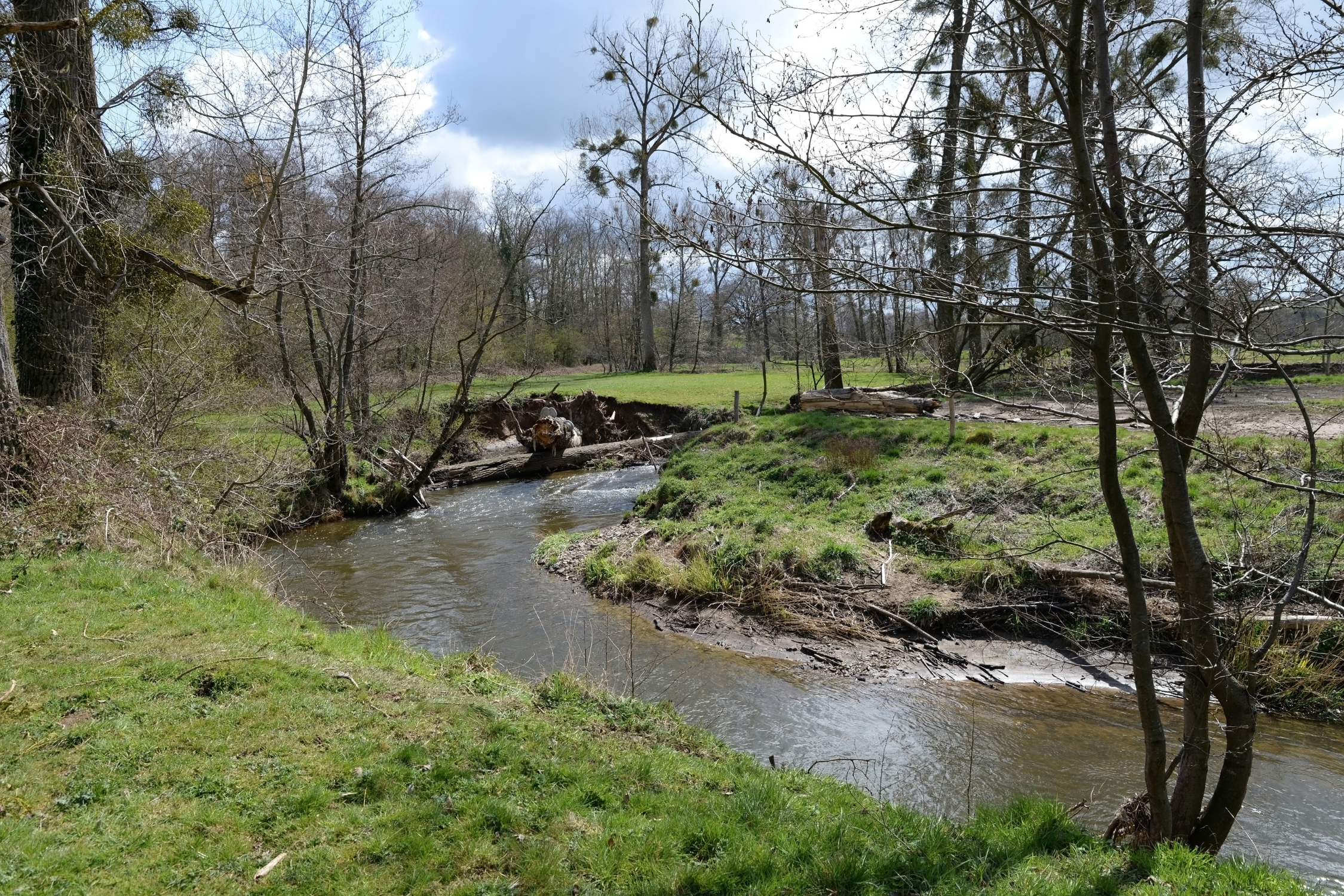 Water beek in landschap