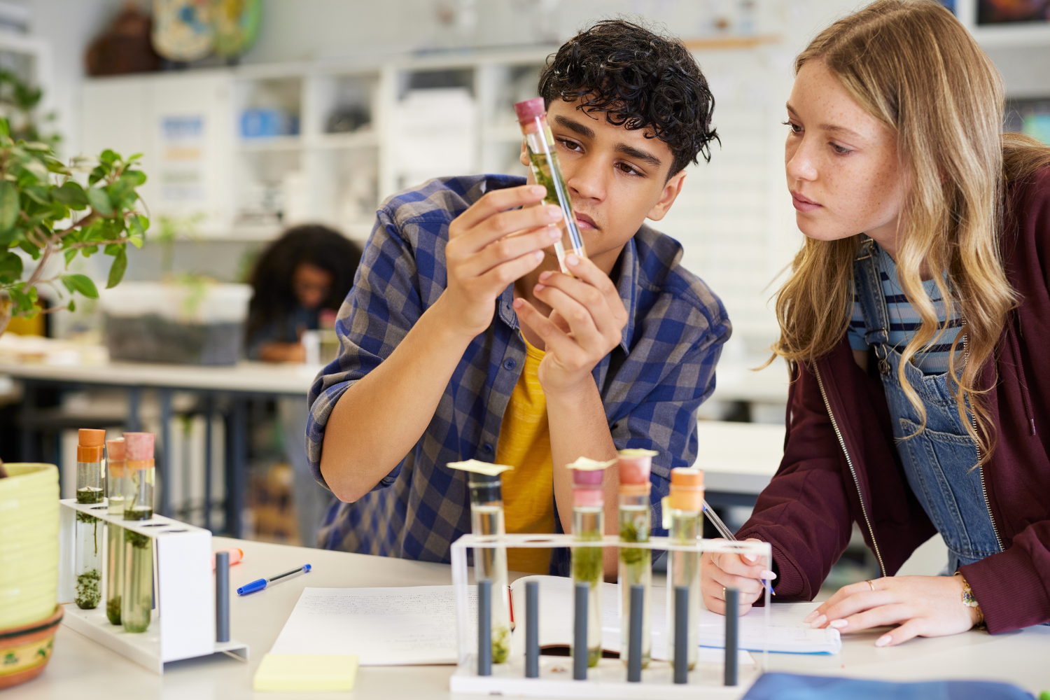 Workshops Wageningen