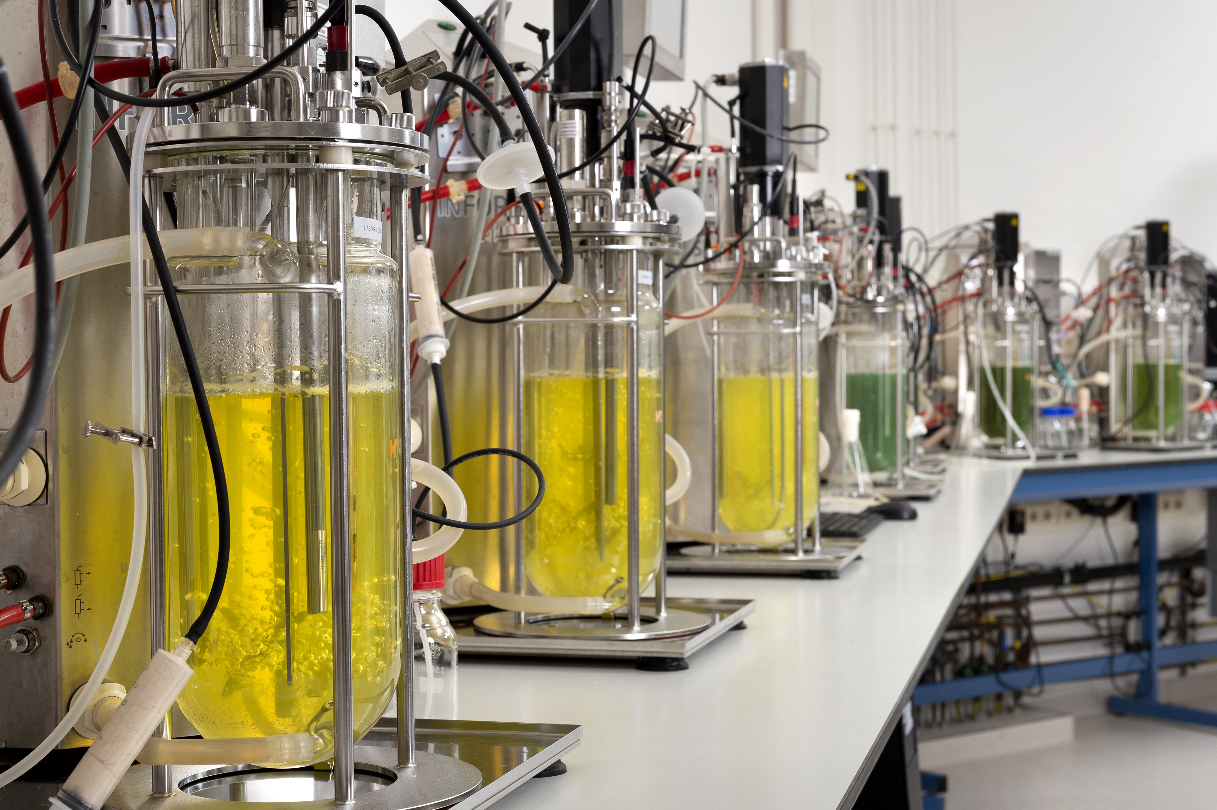 fermentatie lab