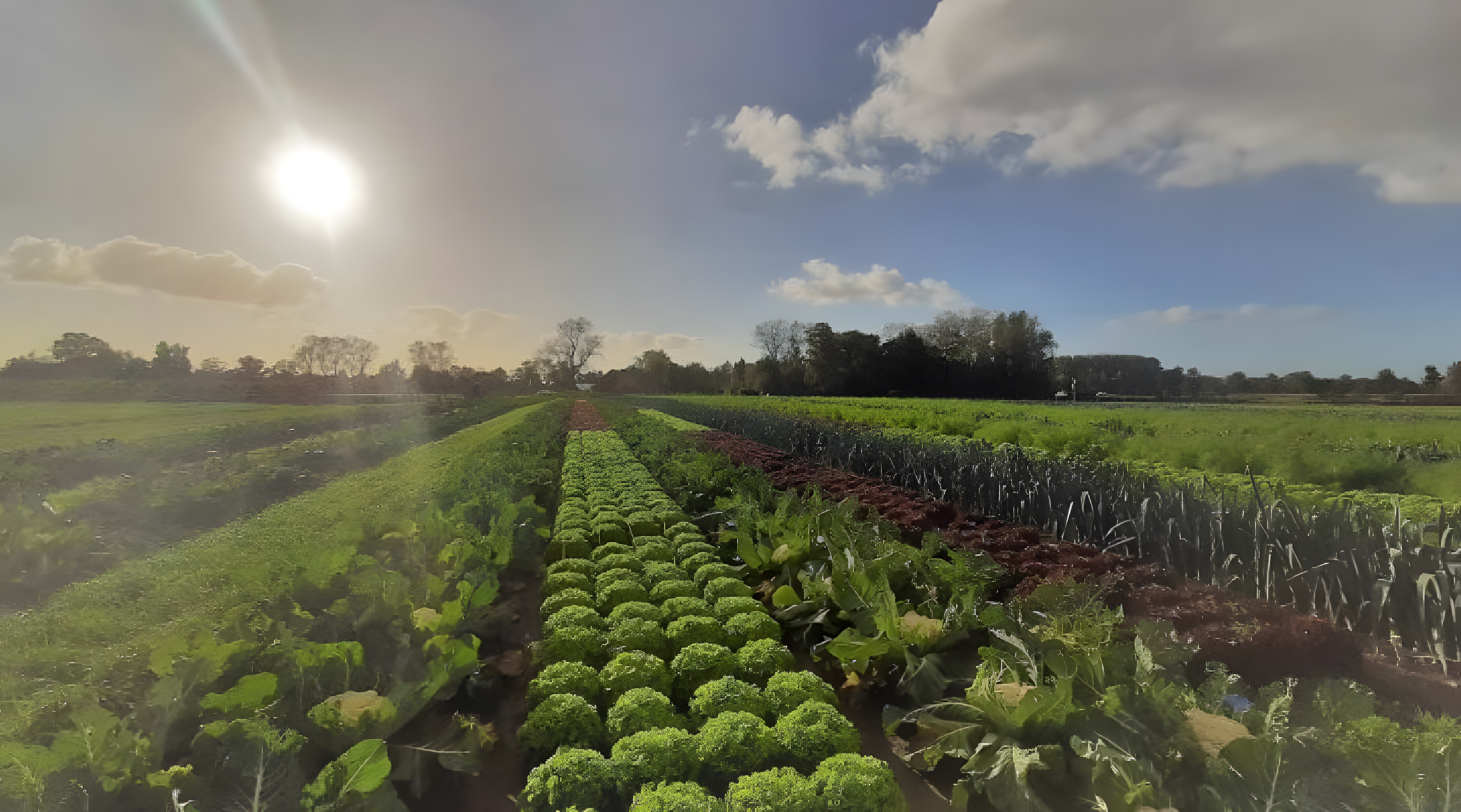 cropmix