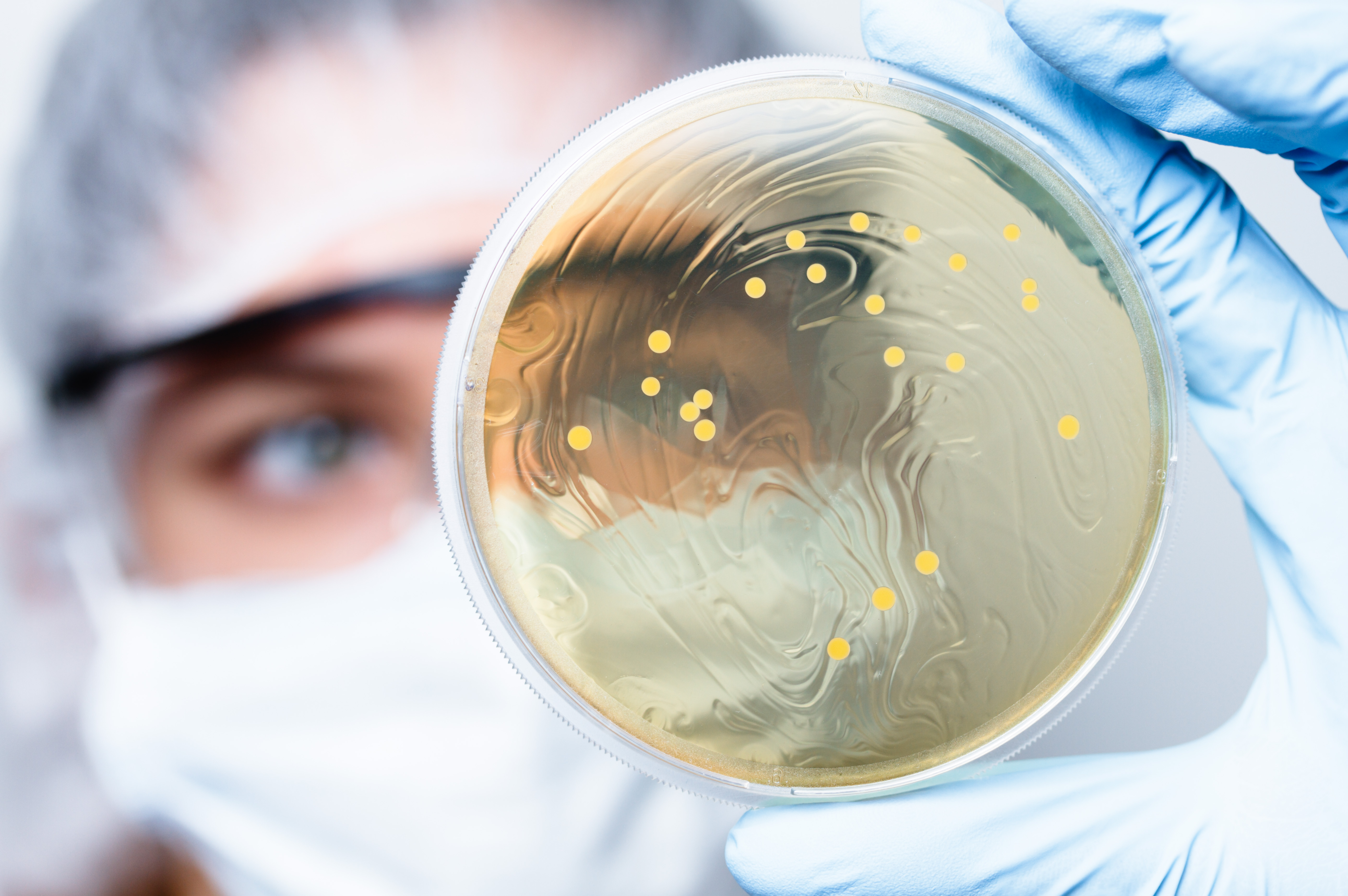 Engineering Bacterial Cell Factories for Natural Product Biosynthesis
