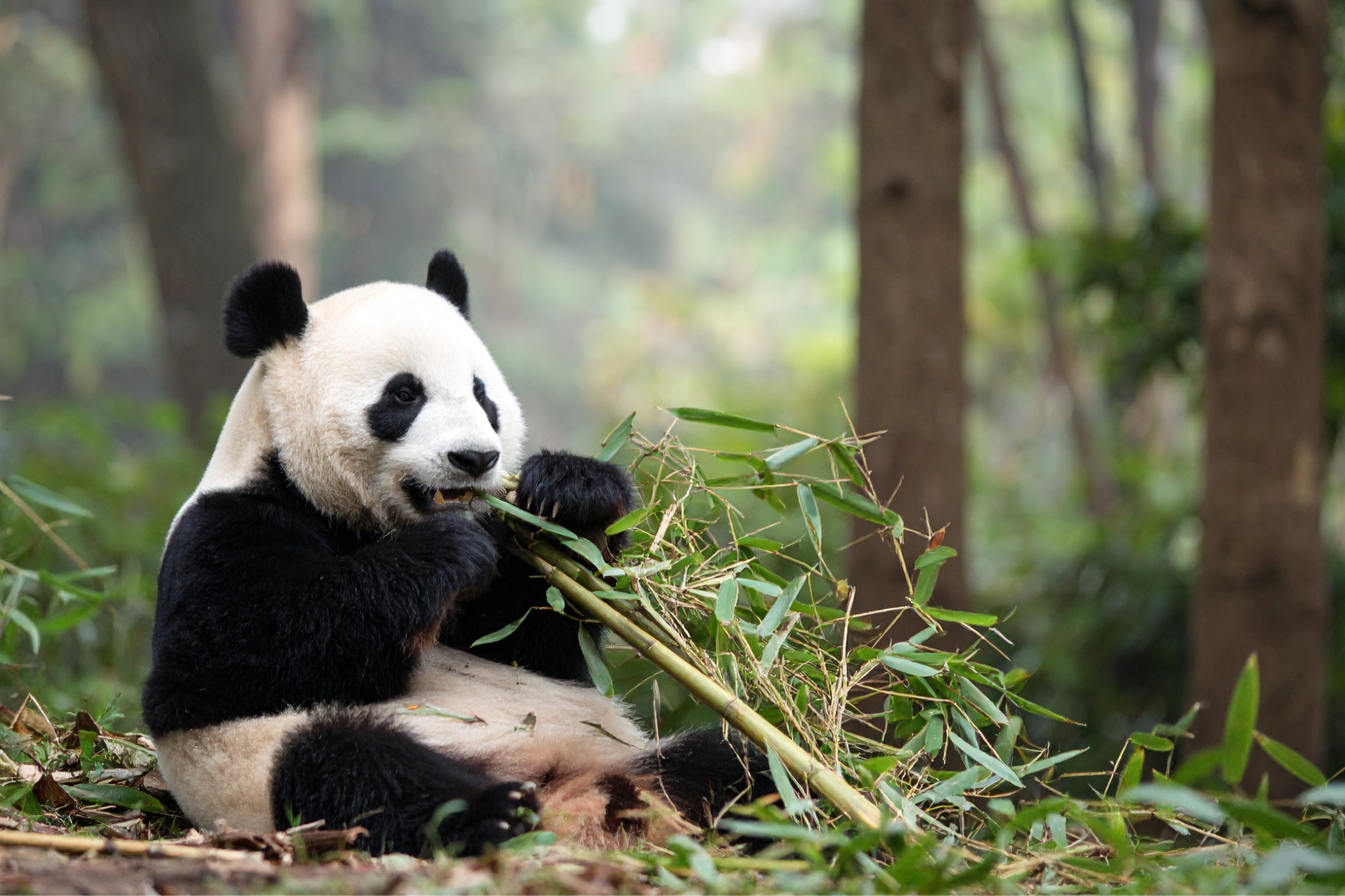 biodiversiteit-lesmateriaal