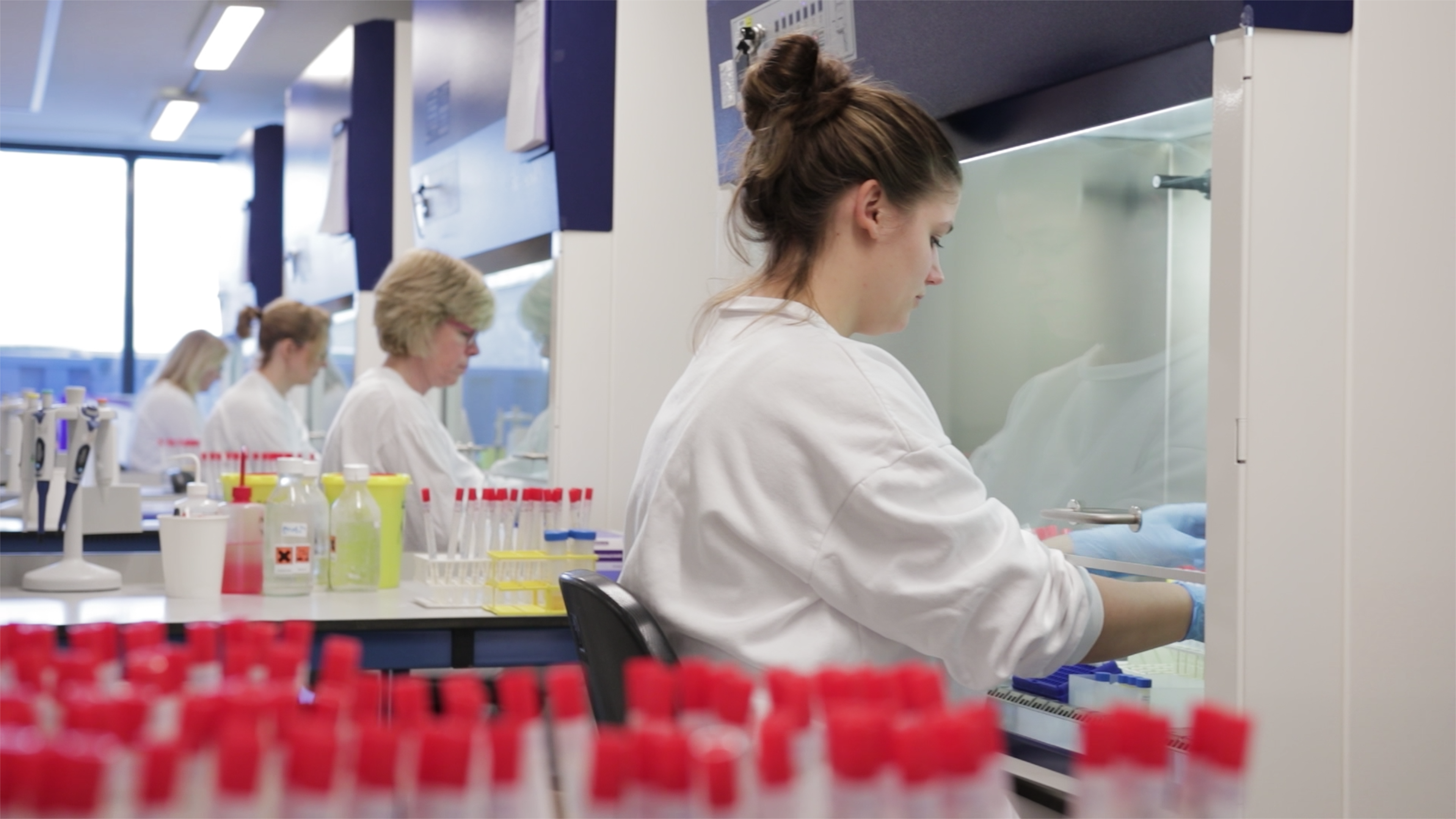Employees at the diagnostics lab of WBVR
