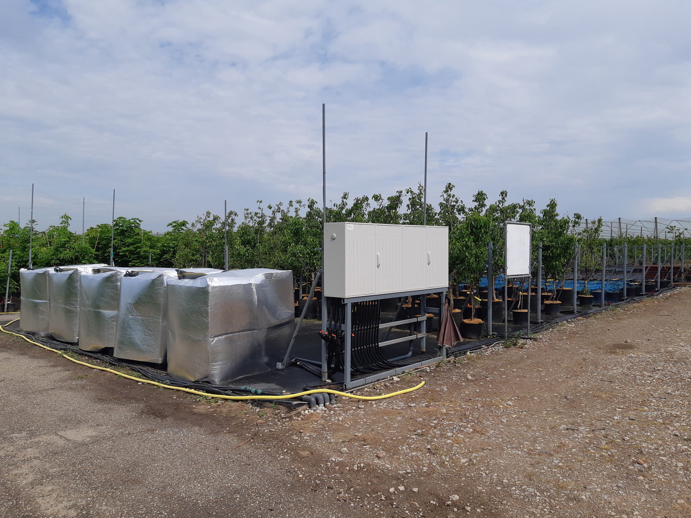 Proefopstelling met IBC-tanks en fertigatie-installatie voor het irrigeren met (extra) gezuiverd rioolwater.