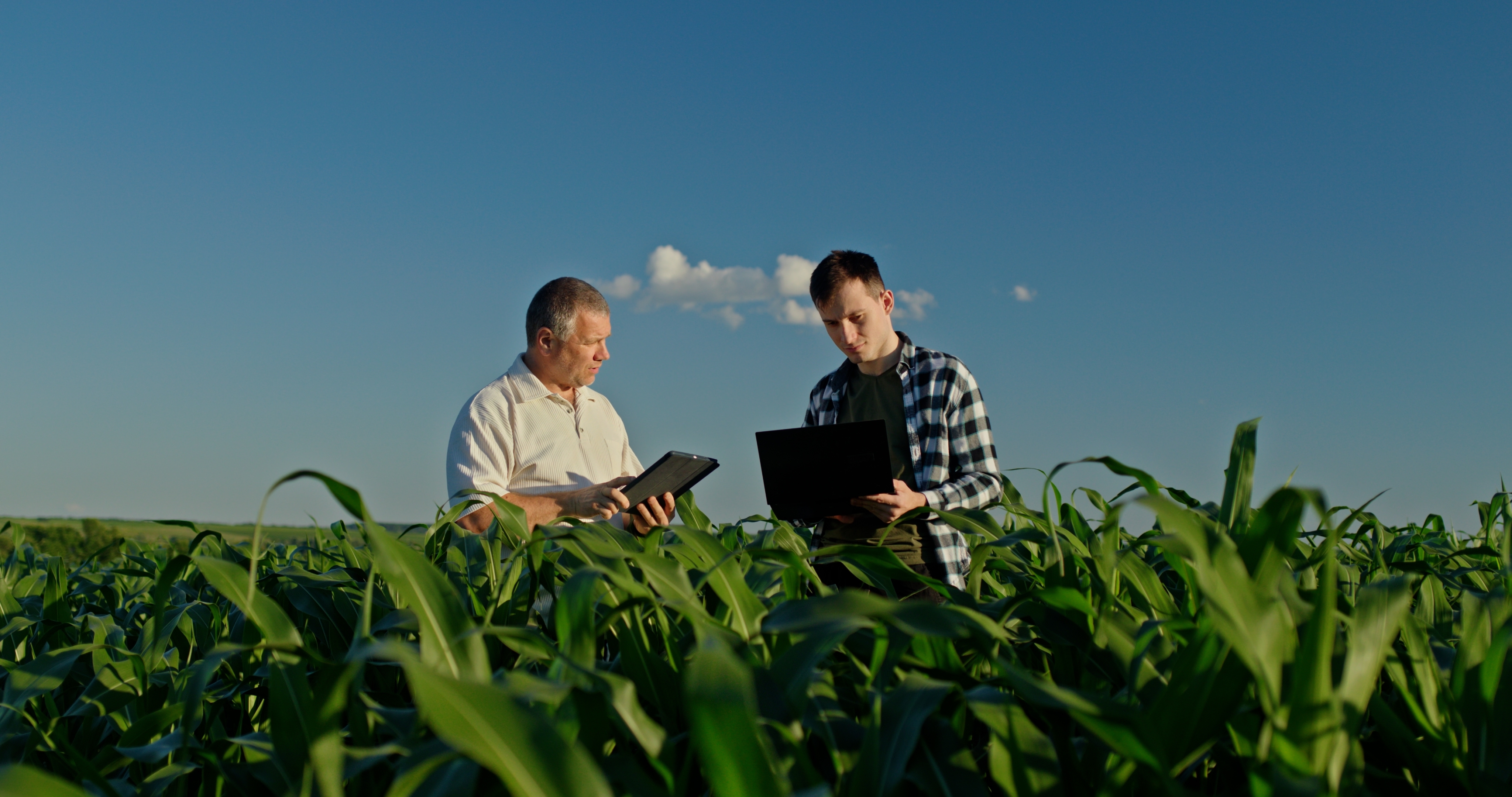 Vader en zoon staan ​​in een maisveld en werken met een laptop en tablet.