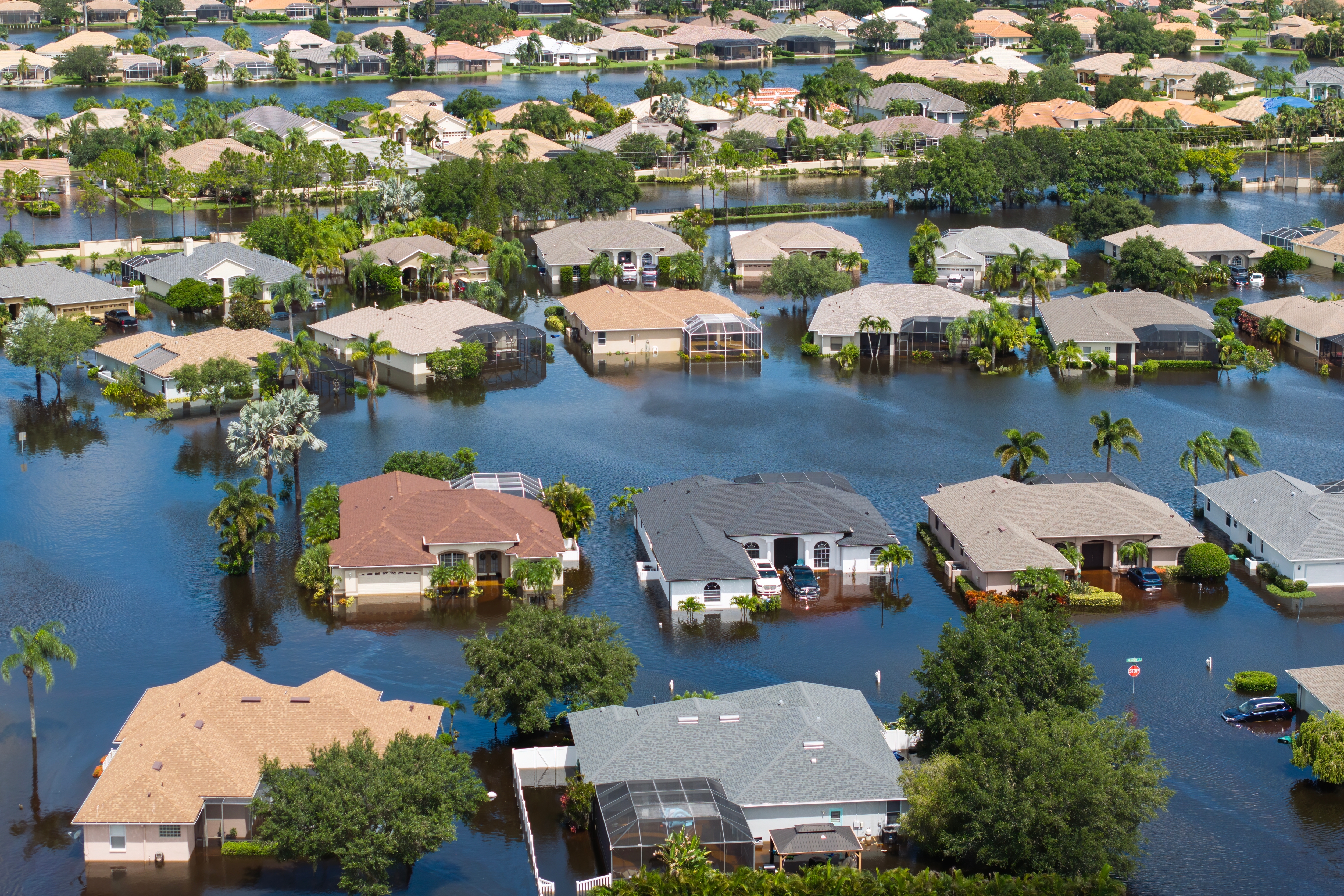 Essays on adaptation to environmental change