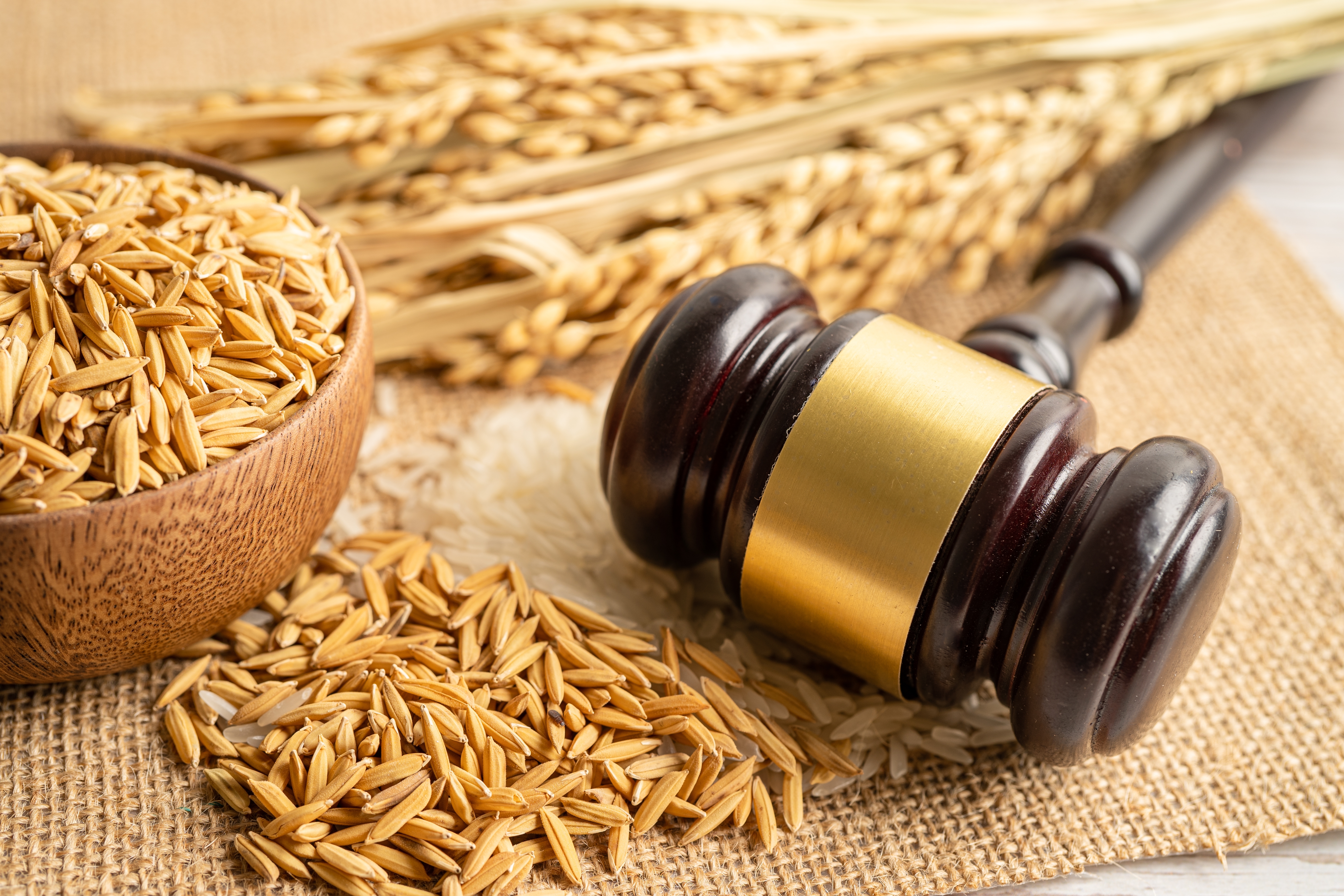 Perceptions of justice in food system transitions
