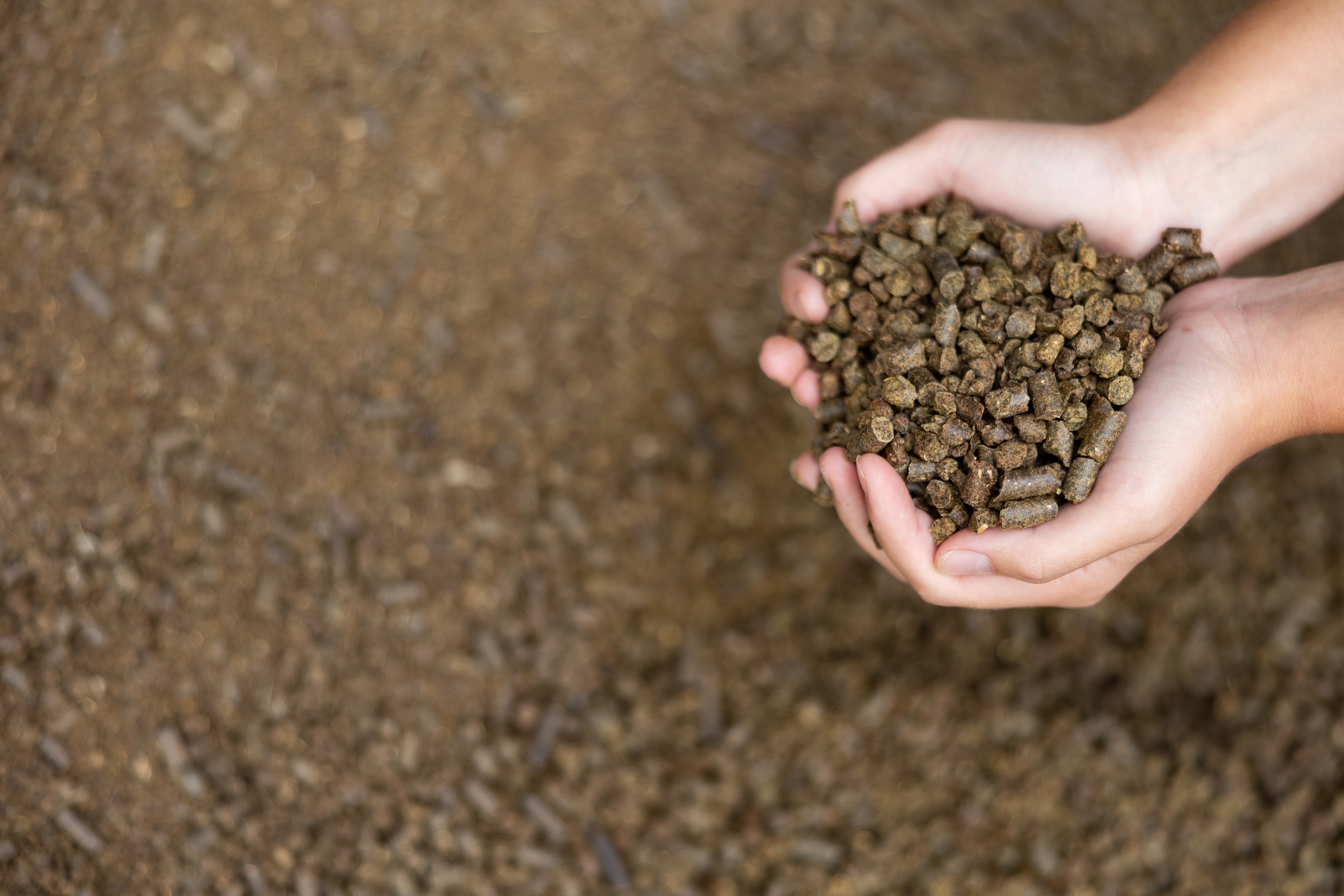 Waarom Water Werkt – Het vormen van slijtvaste brokken tijdens de agglomeratie van biomassa
