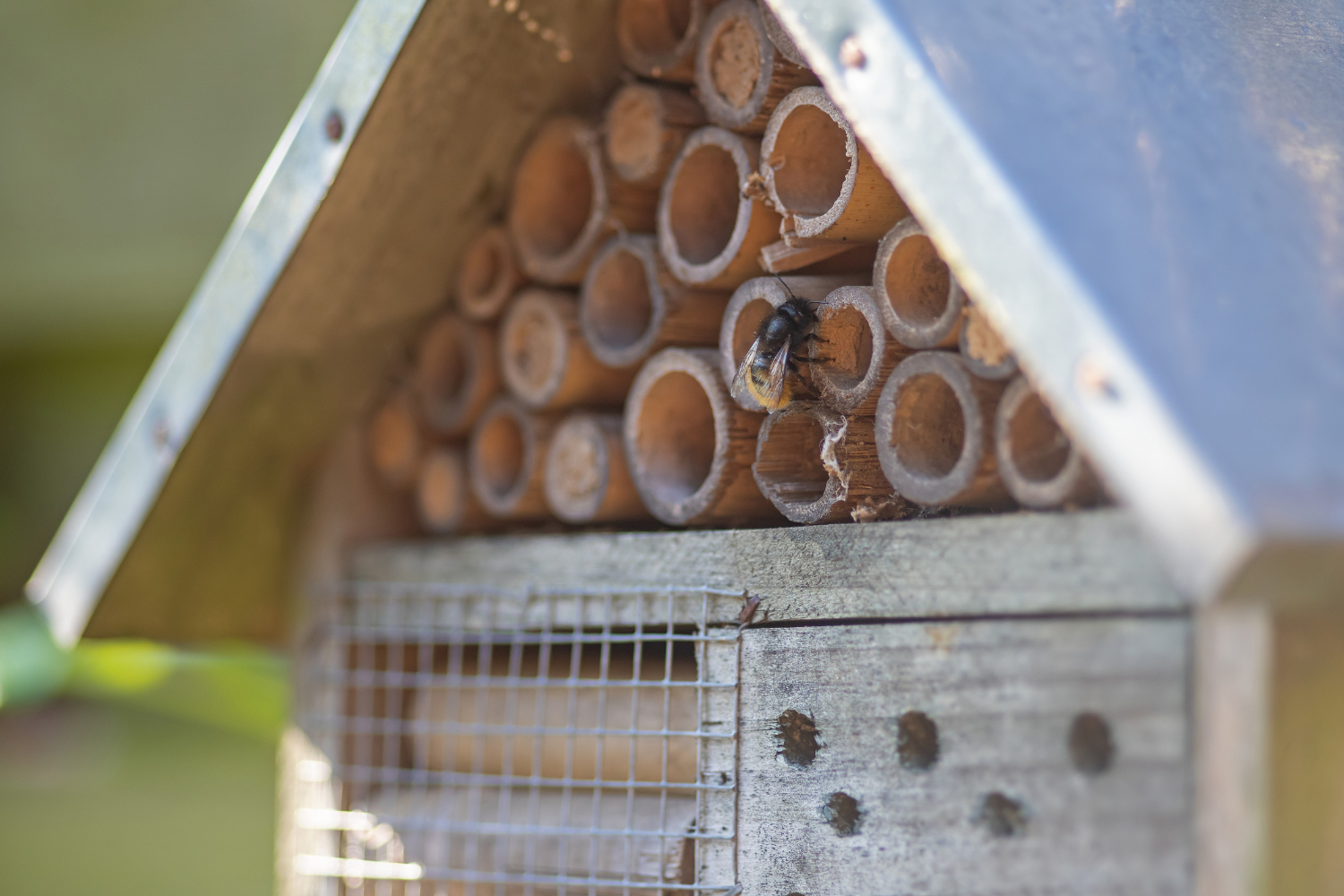 Insectenhotel WUR Nlt wageningen