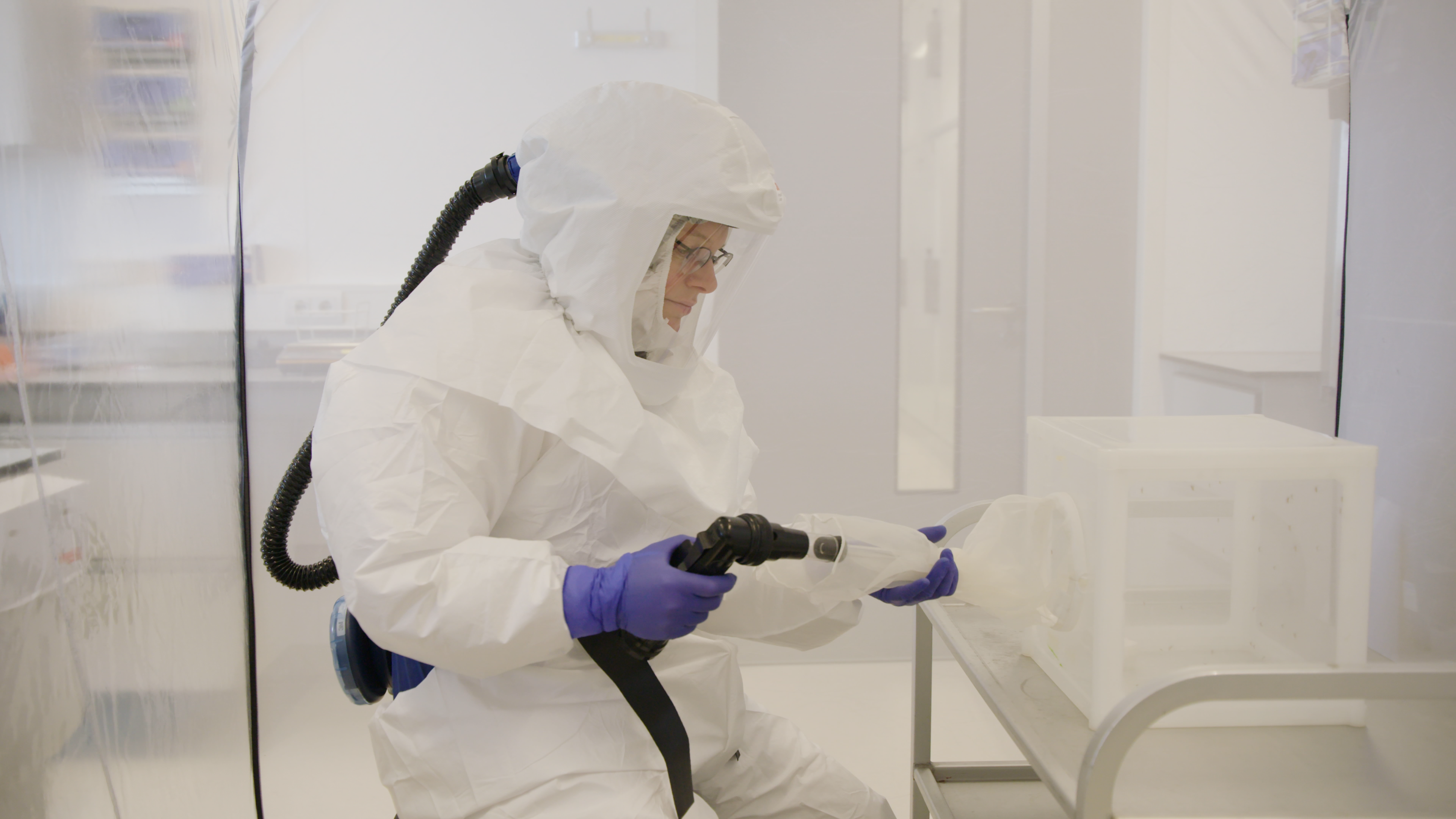 Research into diseases transmitted by mosquitoes at Wageningen Bioveterinary Research in Lelystad