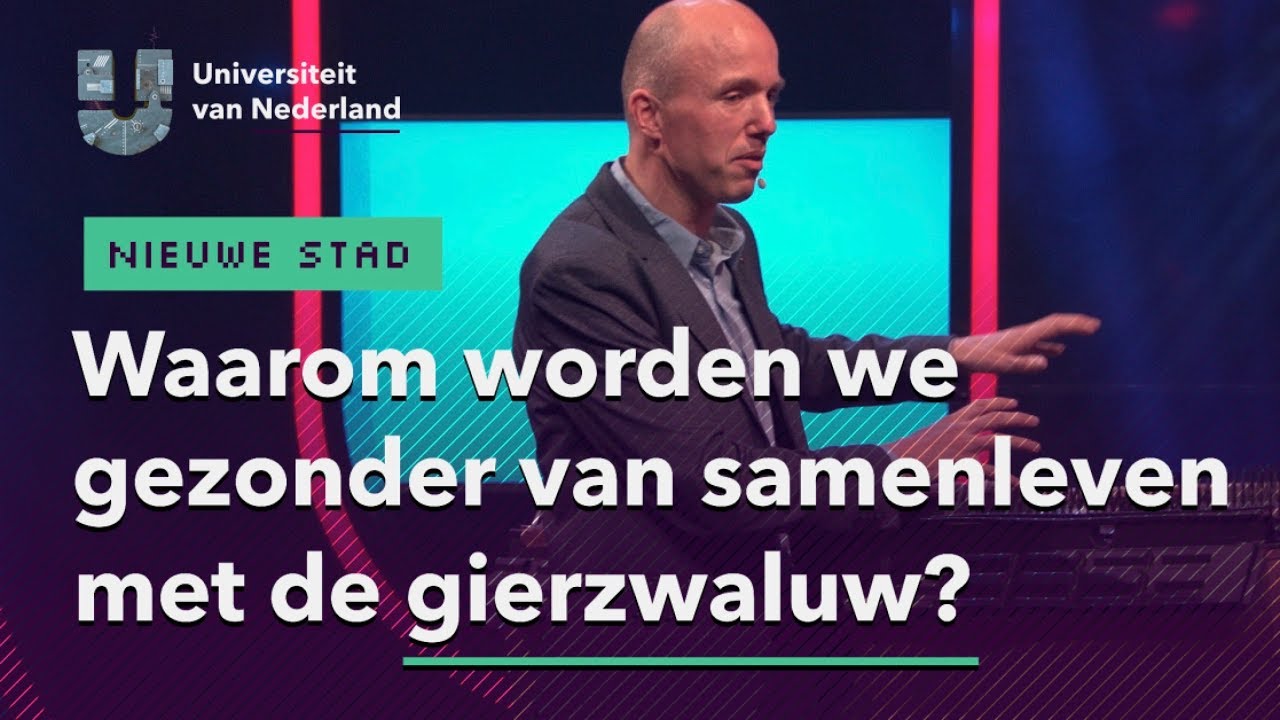 Waarom worden we gezonder van samenleven met de gierzwaluw? | DE NIEUWE STAD
