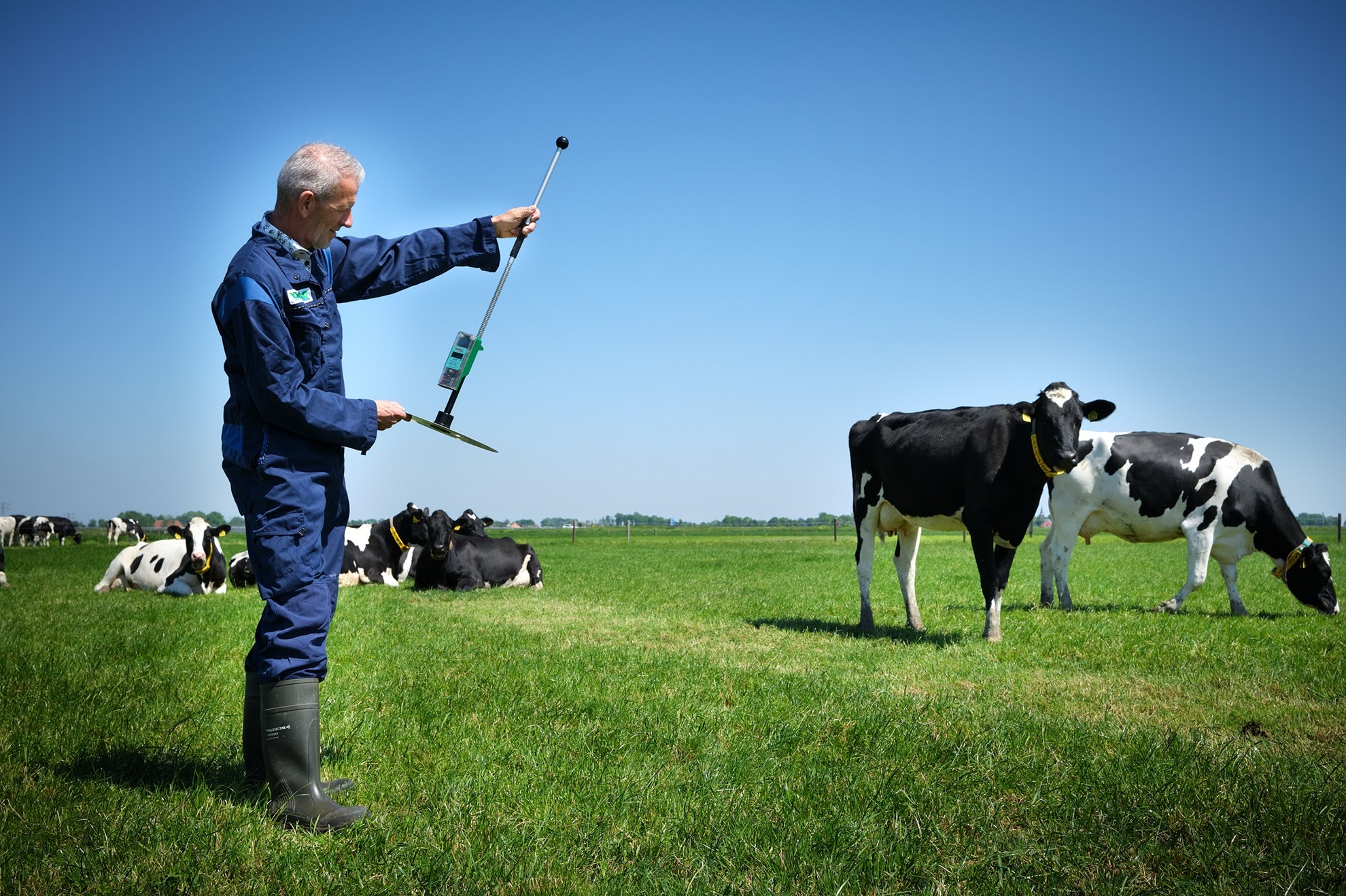 Onderzoeker gras en weidegang 