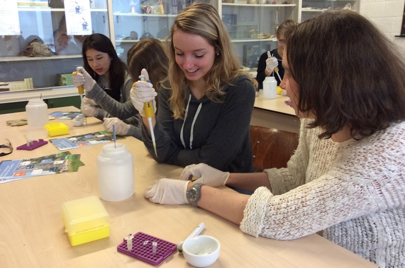 Reizend DNA lab