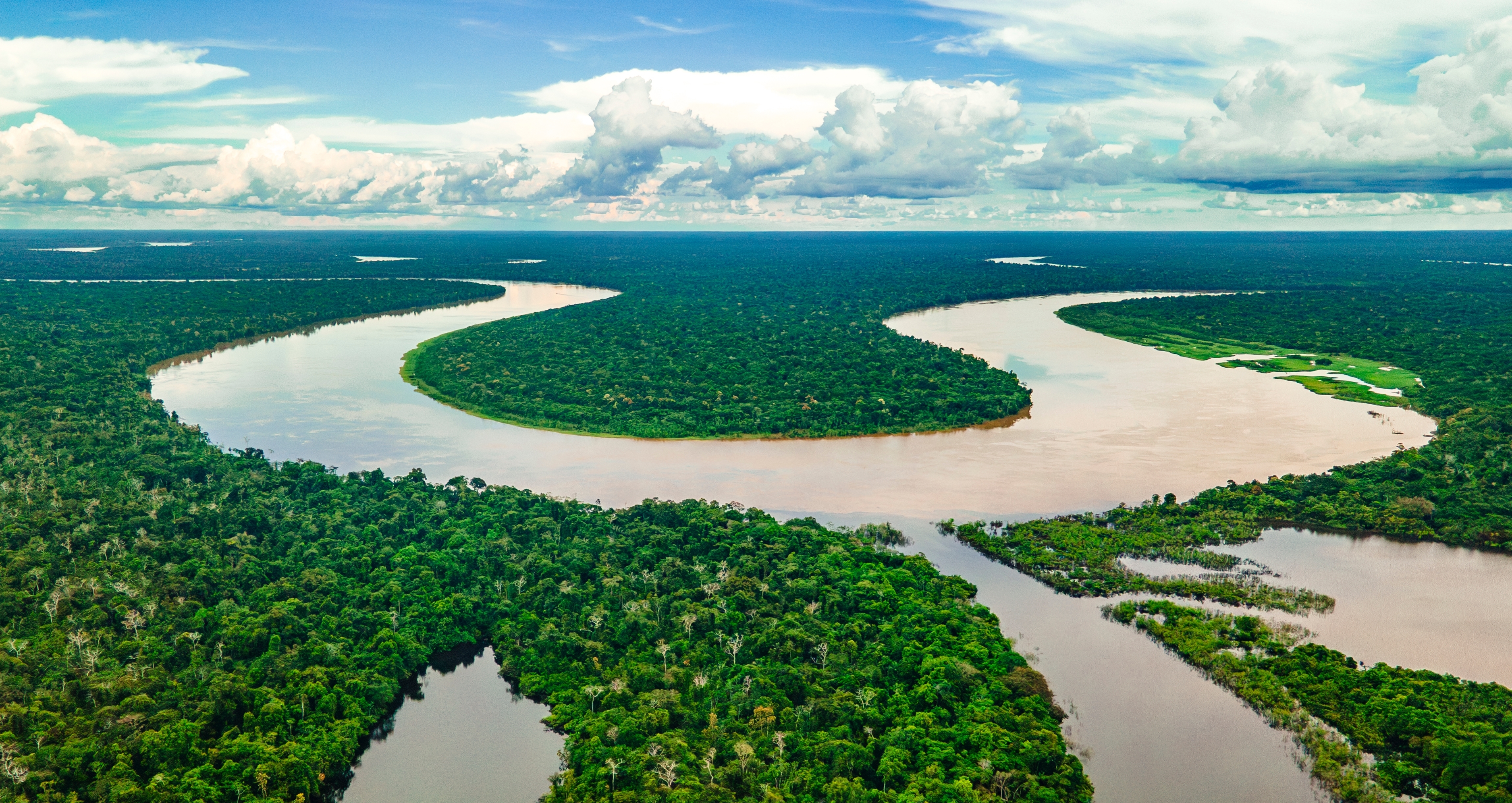 More-than-human Care: Weaving Flourishing Futures for Biodiversity Conservation in Brazil