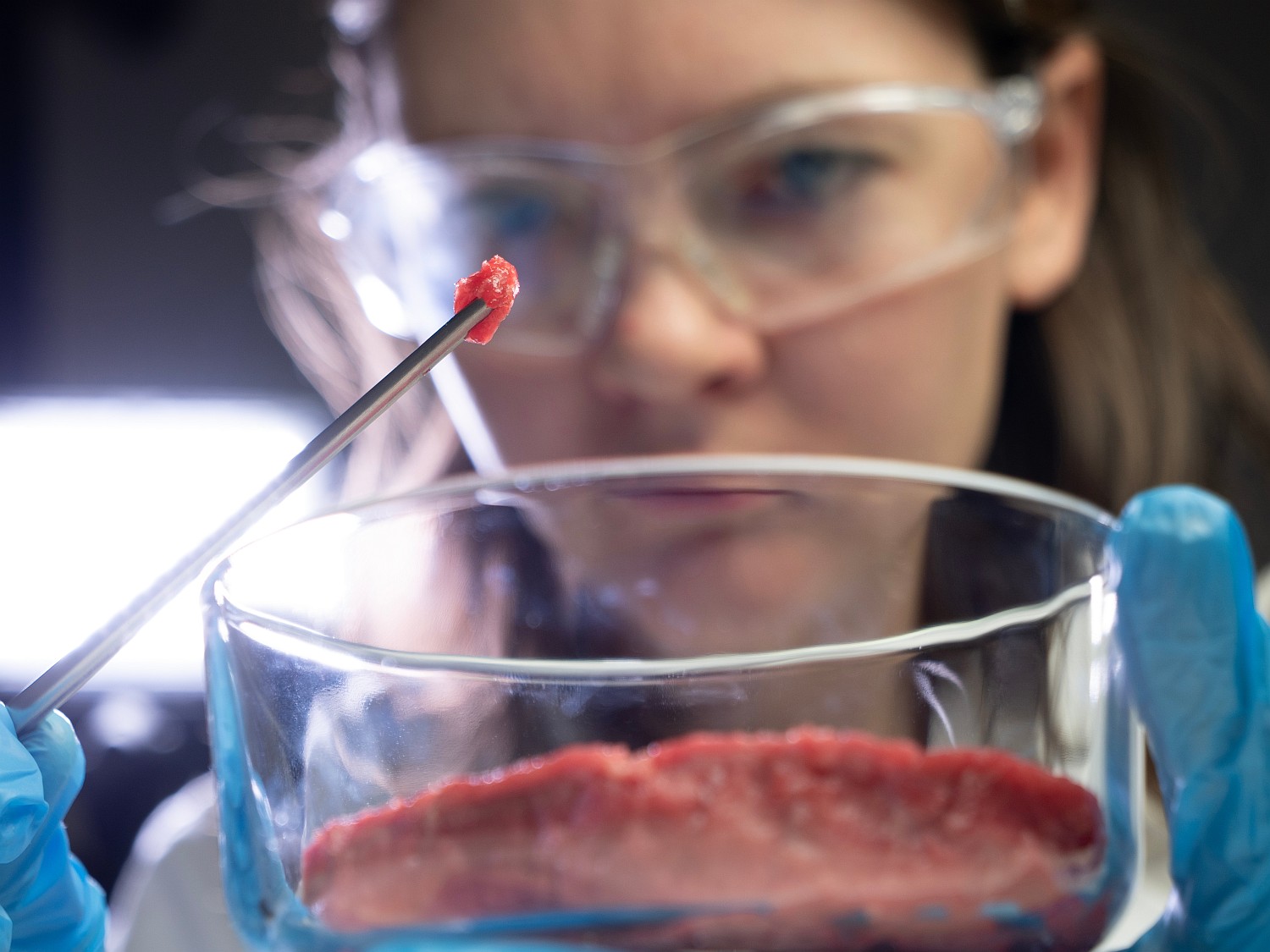 cellular-meat-shutterstock_2398914919.jpg 