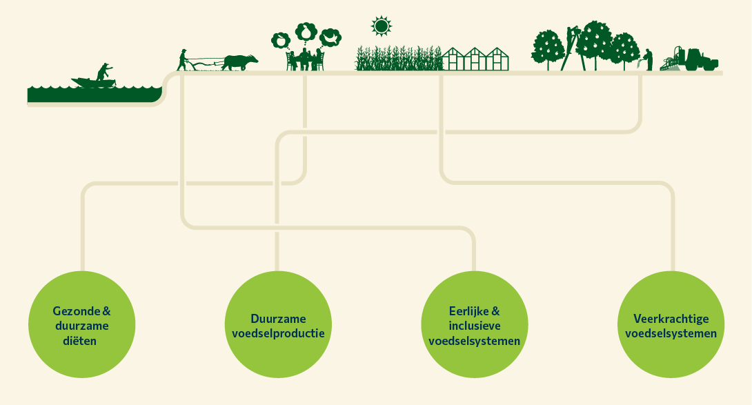 Visual van het voedselsysteem waarin visserij, landbouw, veehouderij, akkerbouw en tuinbouw samenkomen. De lijnen verbinden vier onderdelen: gezonde en duurzame diëten, duurzame voedselproductie, eerlijke en inclusieve voedselsystemen en veerkrachtige voedselsystemen.