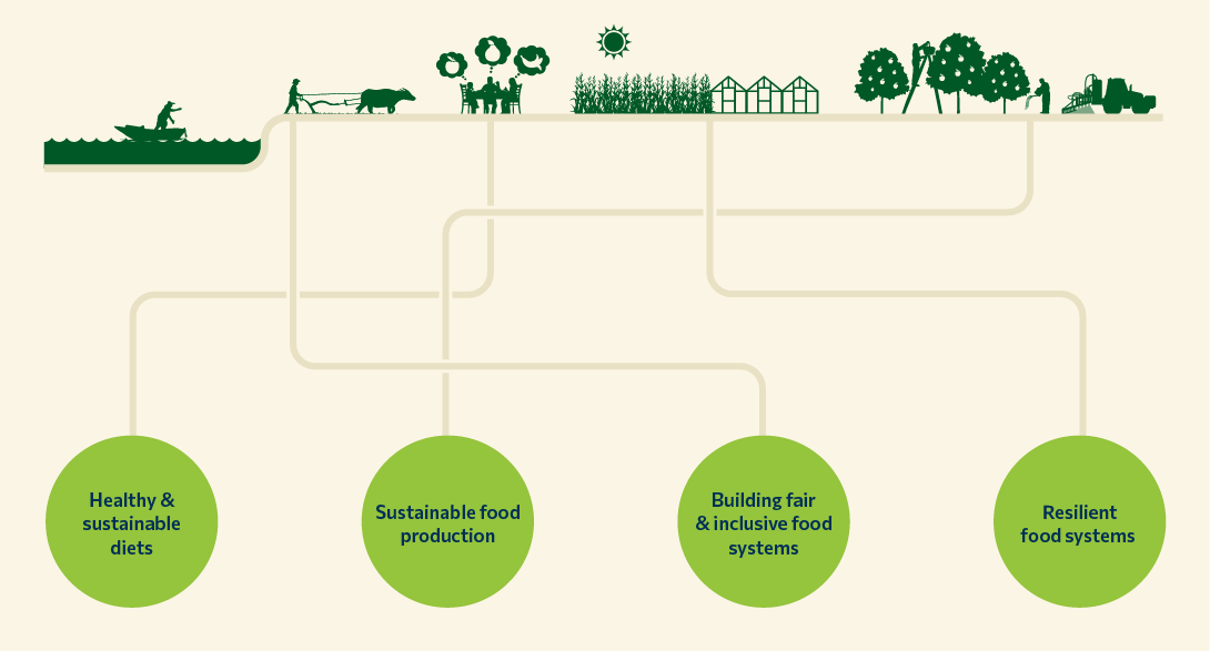 Visual of the food system showing fisheries, farming, livestock, crop production and horticulture. Lines connect four elements: healthy and sustainable diets, sustainable food production, fair and inclusive food systems and resilient food systems.